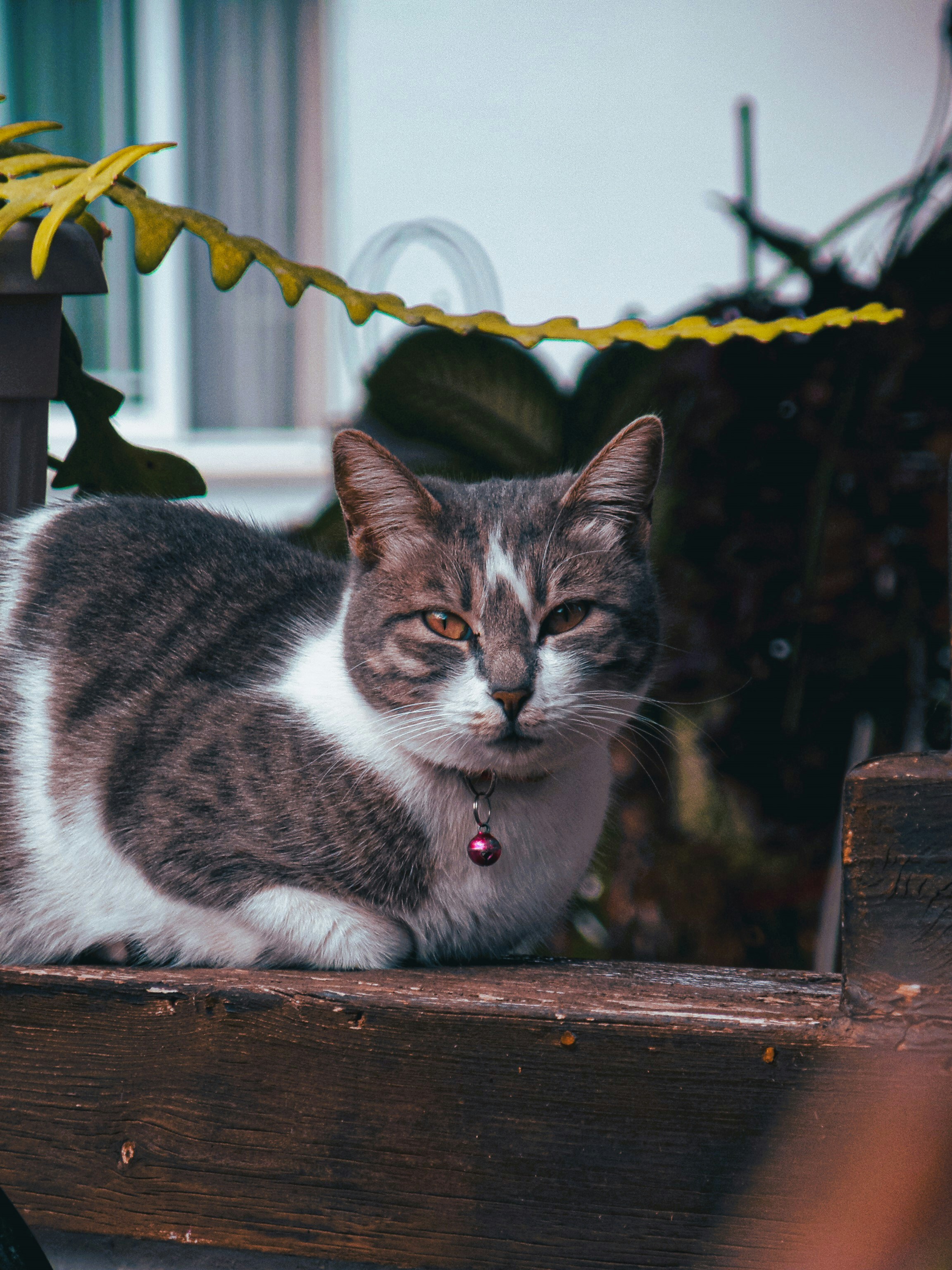 Photo by david_dintsh