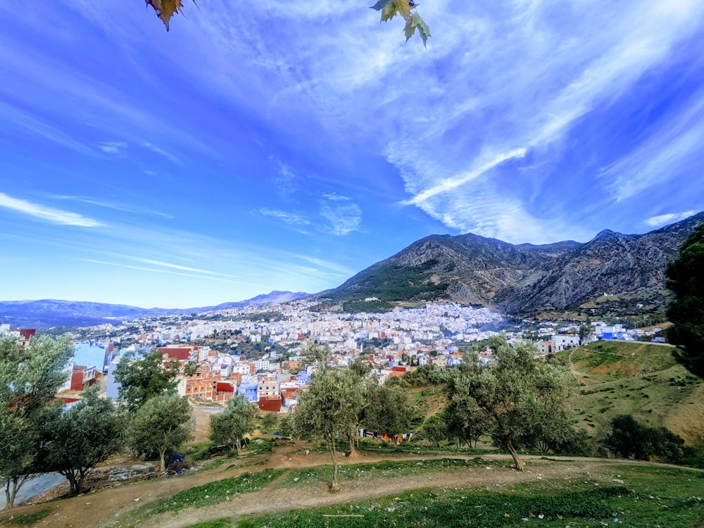 a panoramic view of a city with mountains in the background