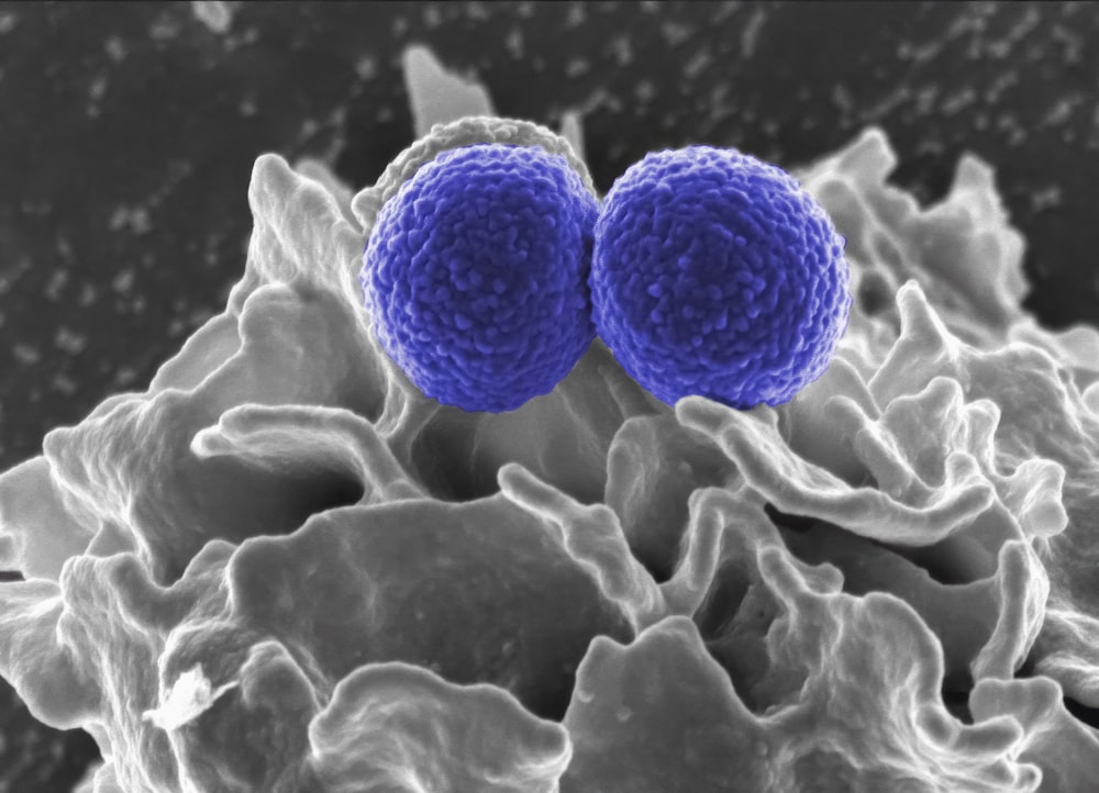 a pair of blue balls sitting on top of a cell