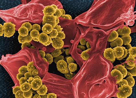 a close up of a red and yellow substance