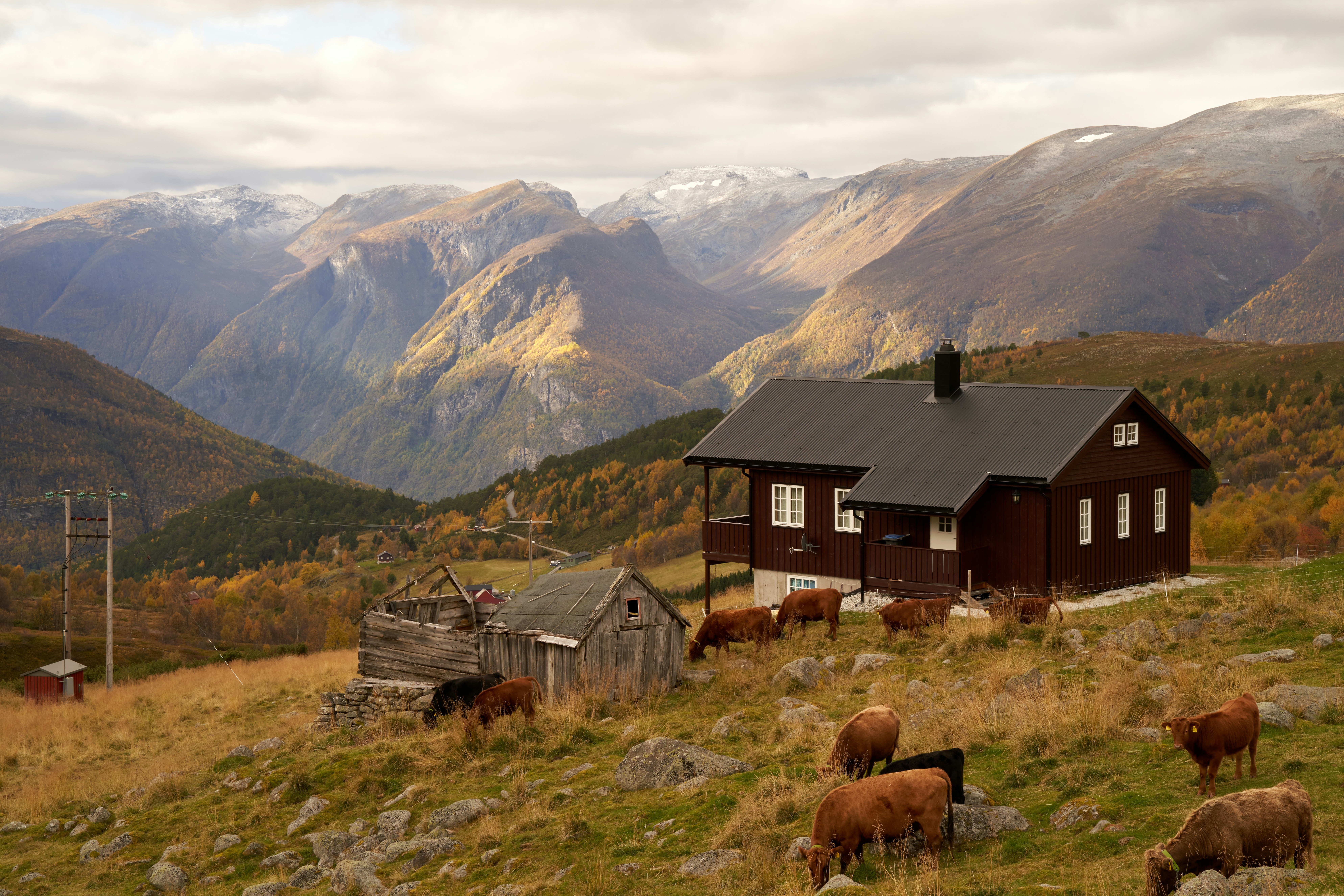 Photo by davotibarna