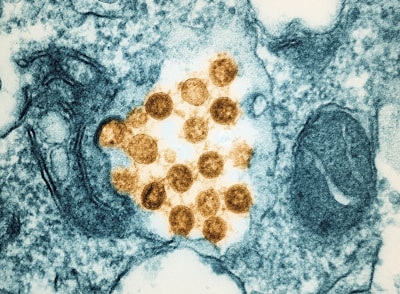 a close up of a cell phone with a cell phone in the middle of it