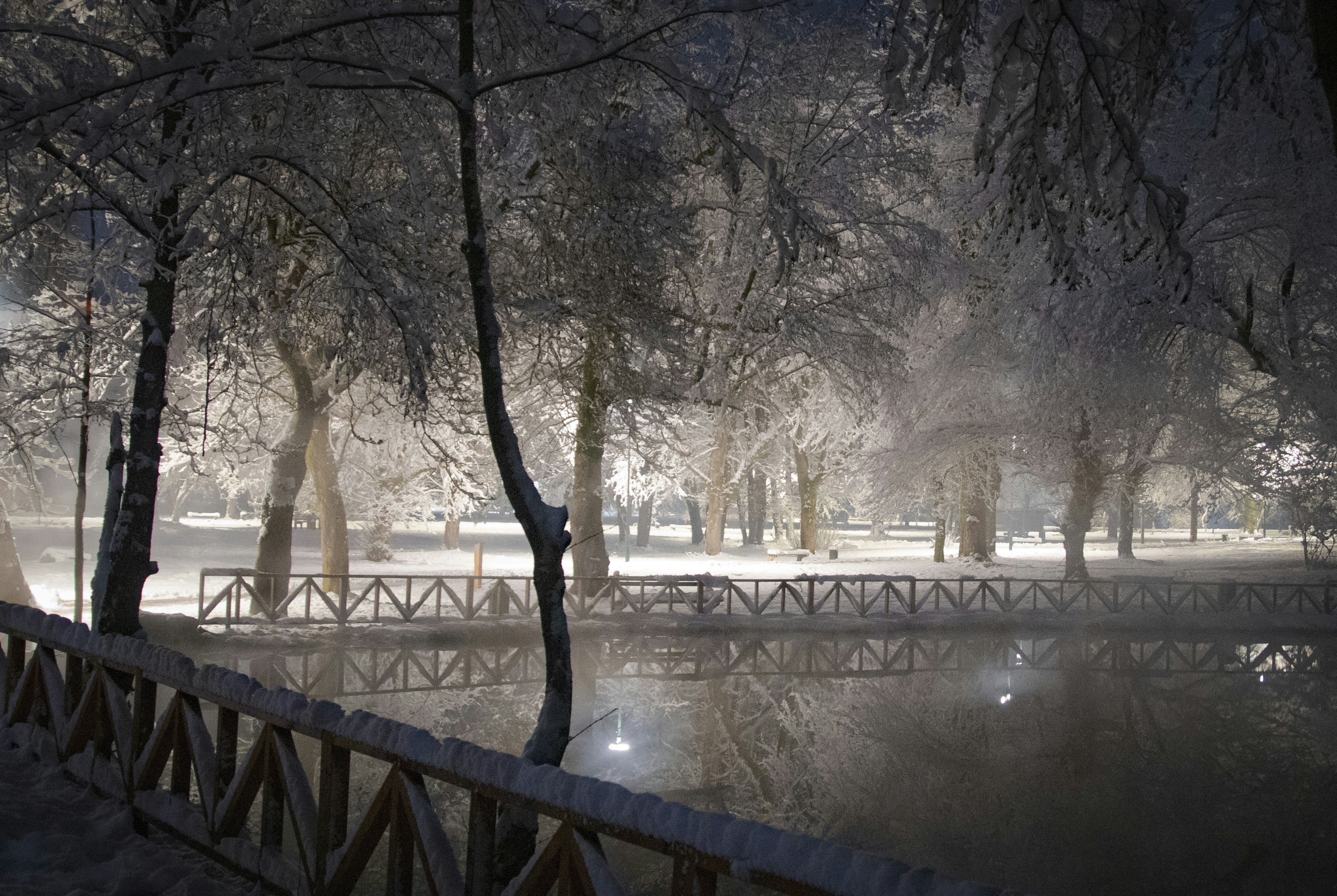 a snowy night in a park with trees and a bridge