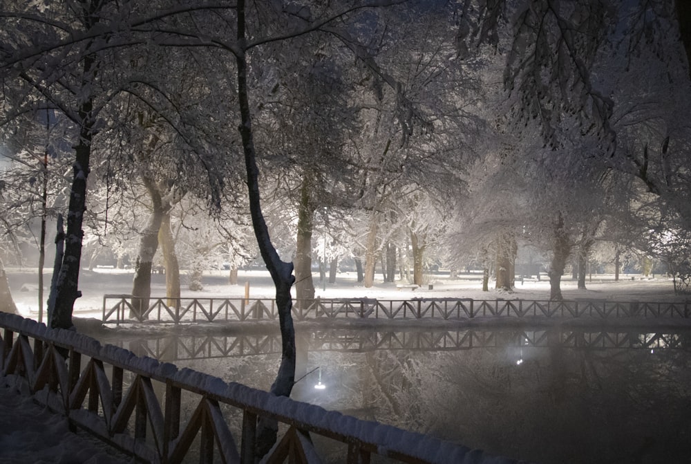 a snowy night in a park with trees and a bridge
