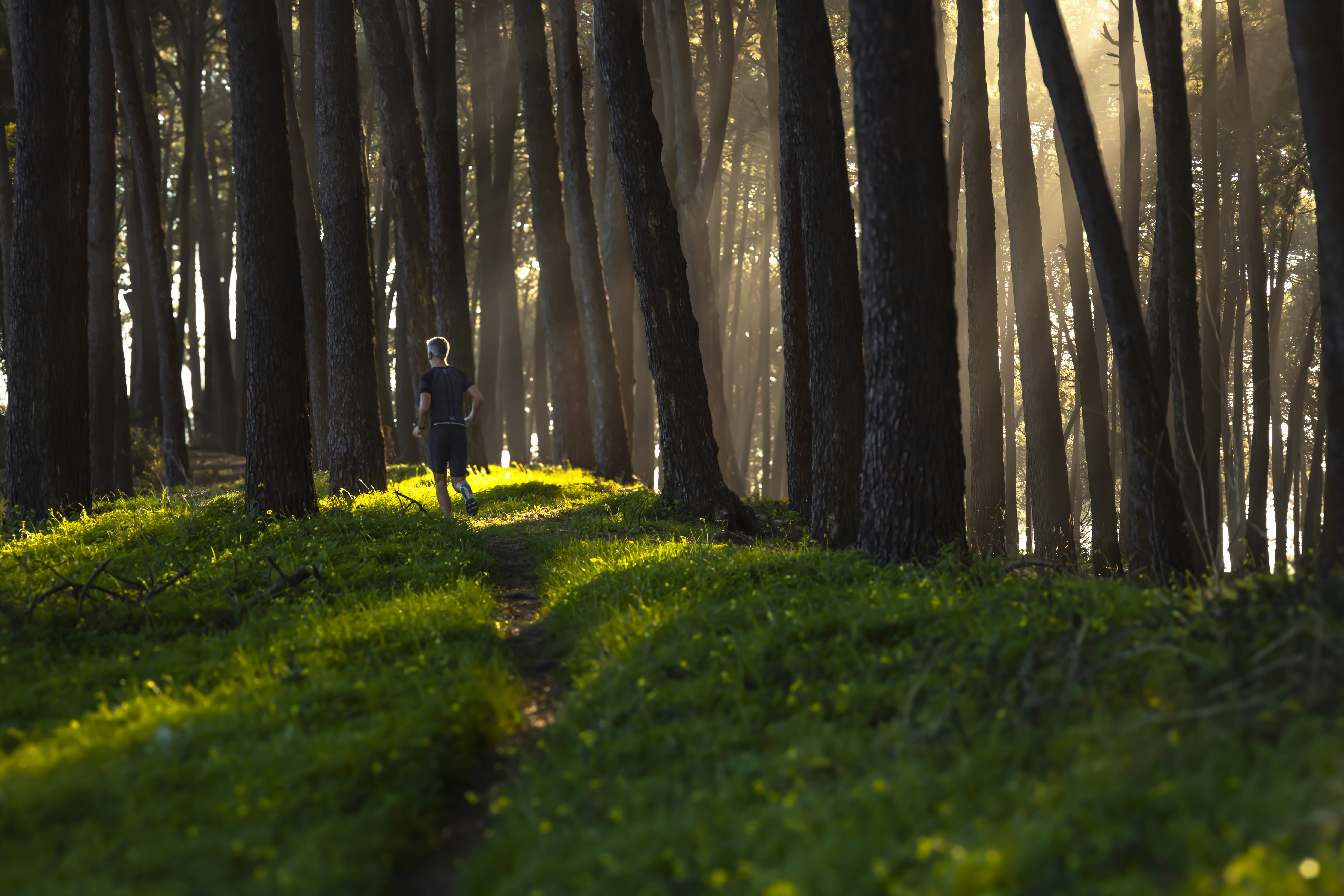 una persona in piedi nel mezzo di una foresta