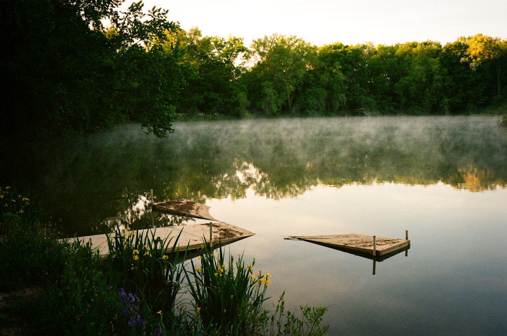 a body of water surrounded by trees and a dock