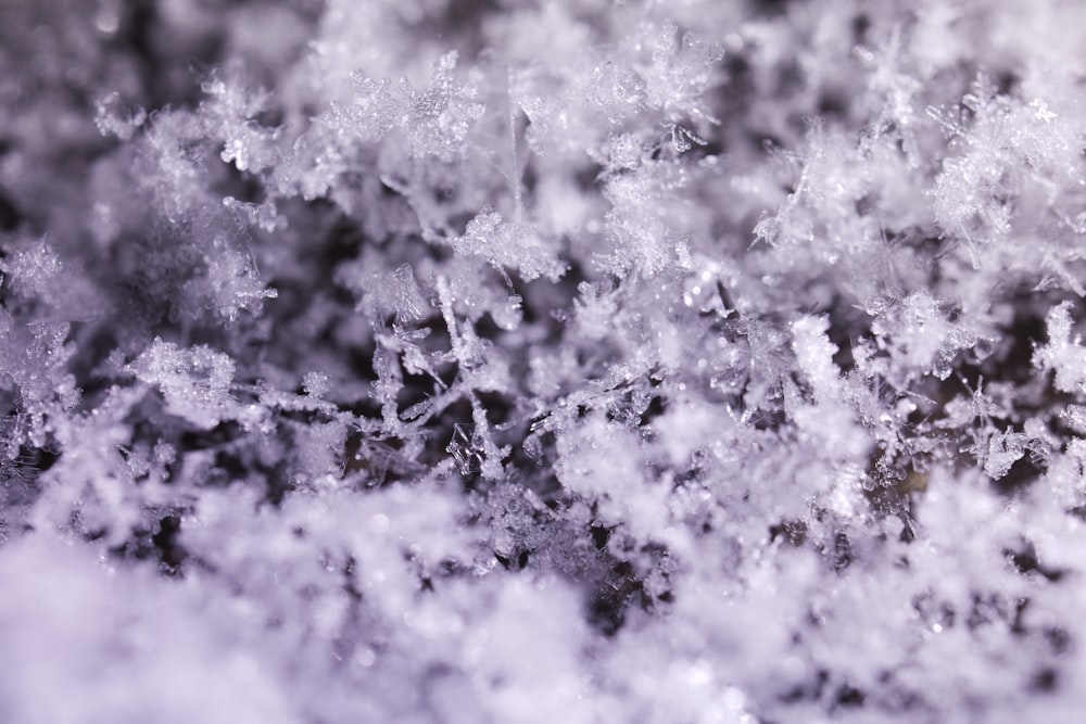 a close up of snow flakes on the ground