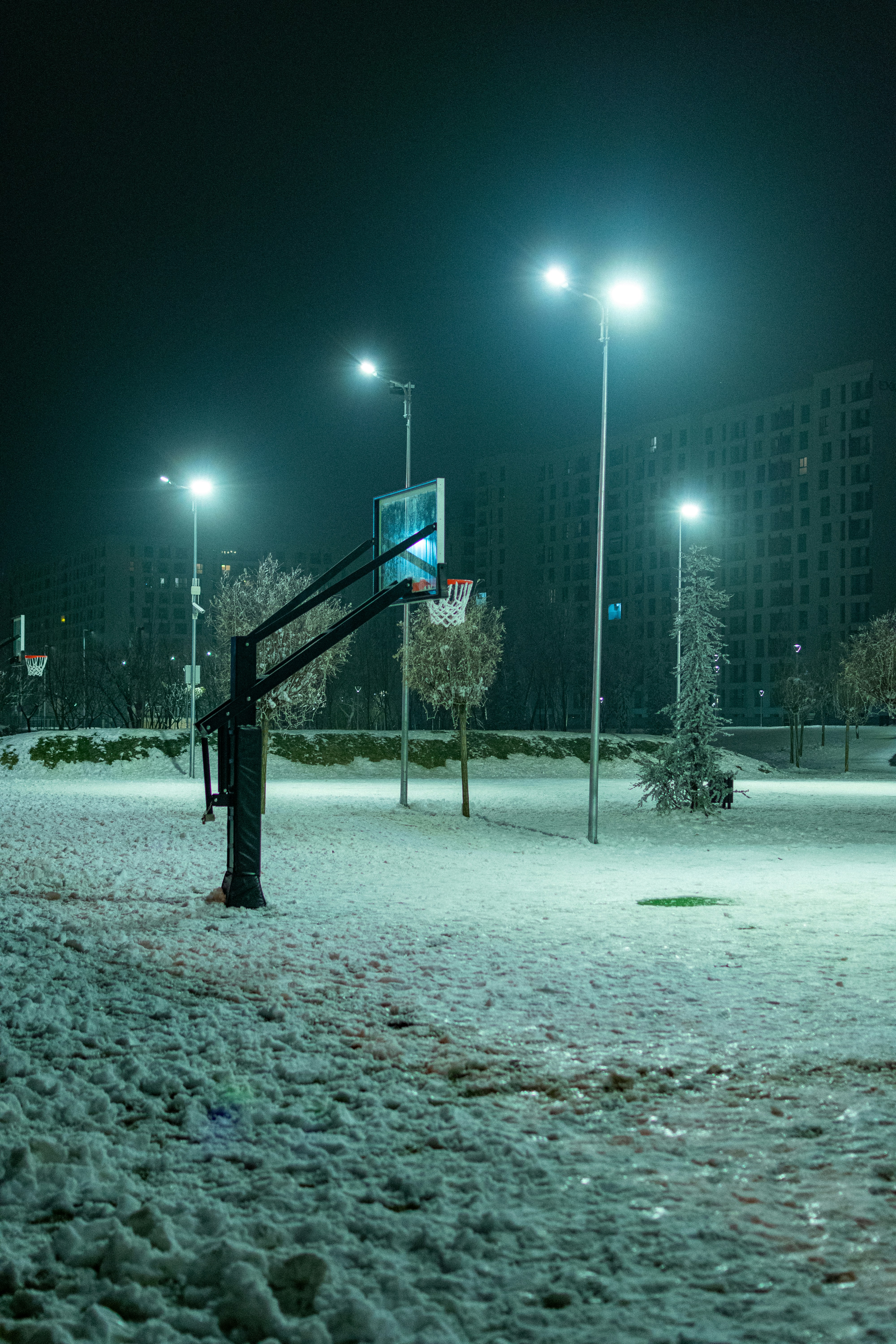 Photo by mirceadrian