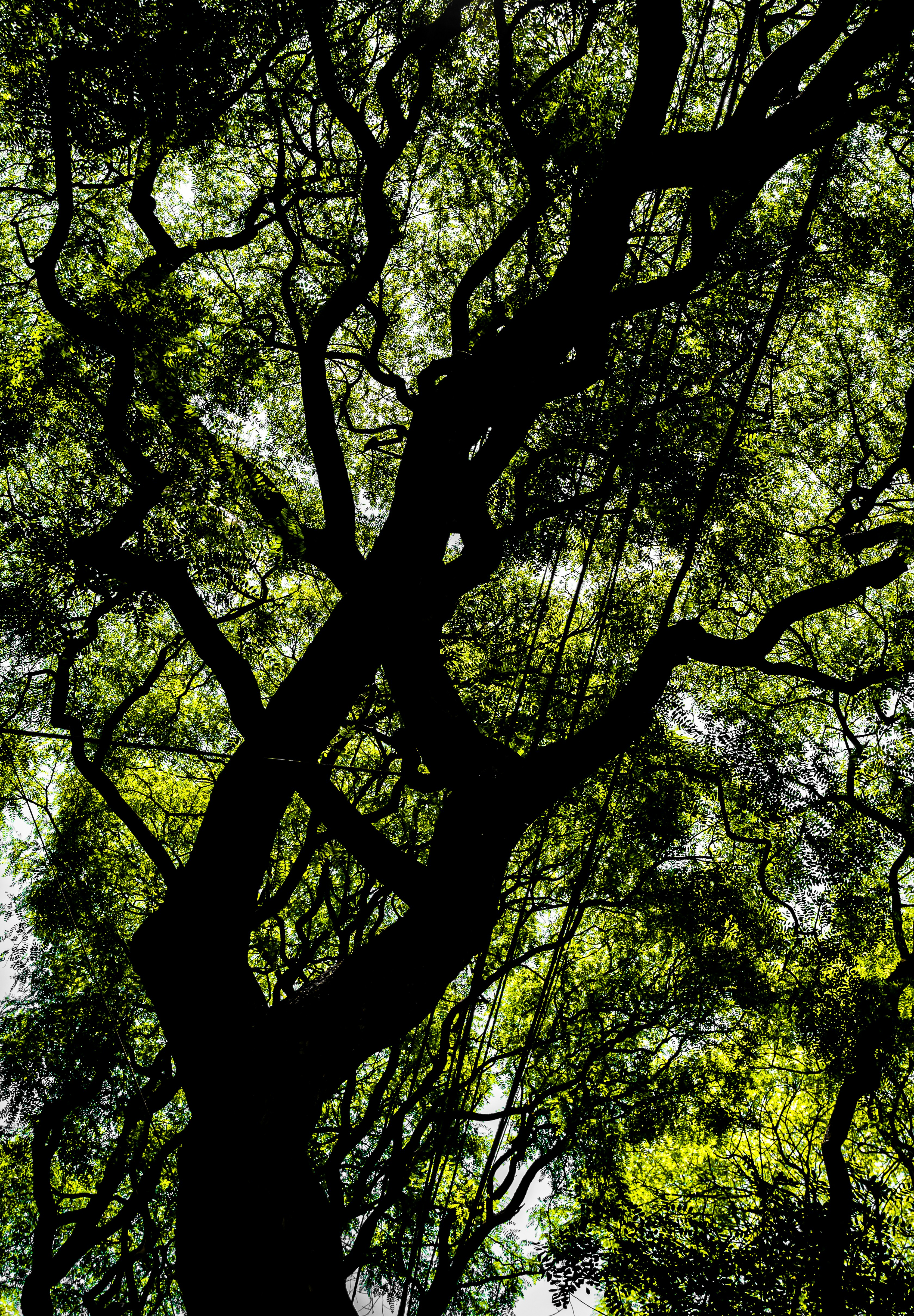 Photo by lucia_sorrentino