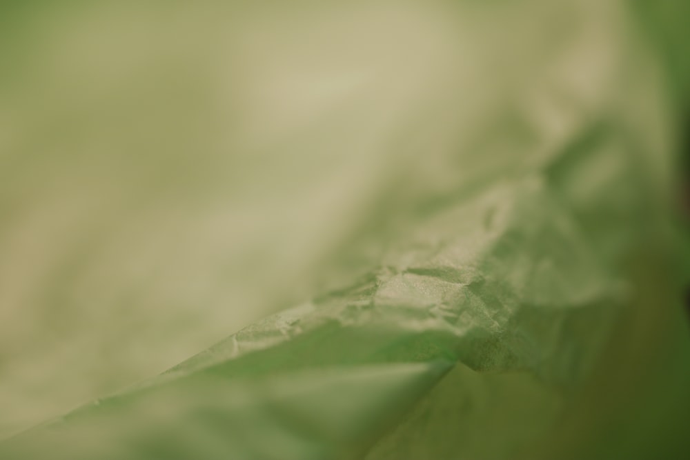 a close up of a piece of green paper