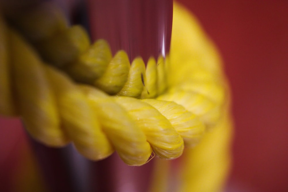 a close up view of a yellow flower