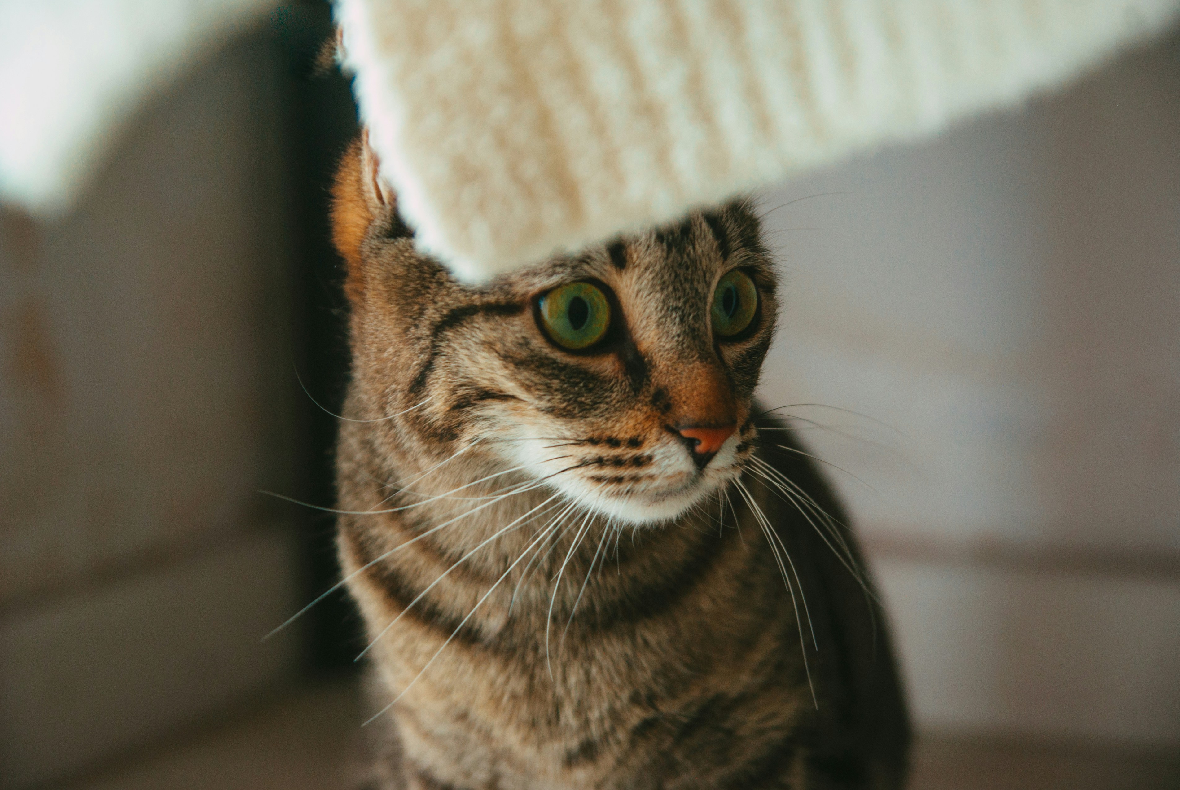 Photo by moonmoons_days