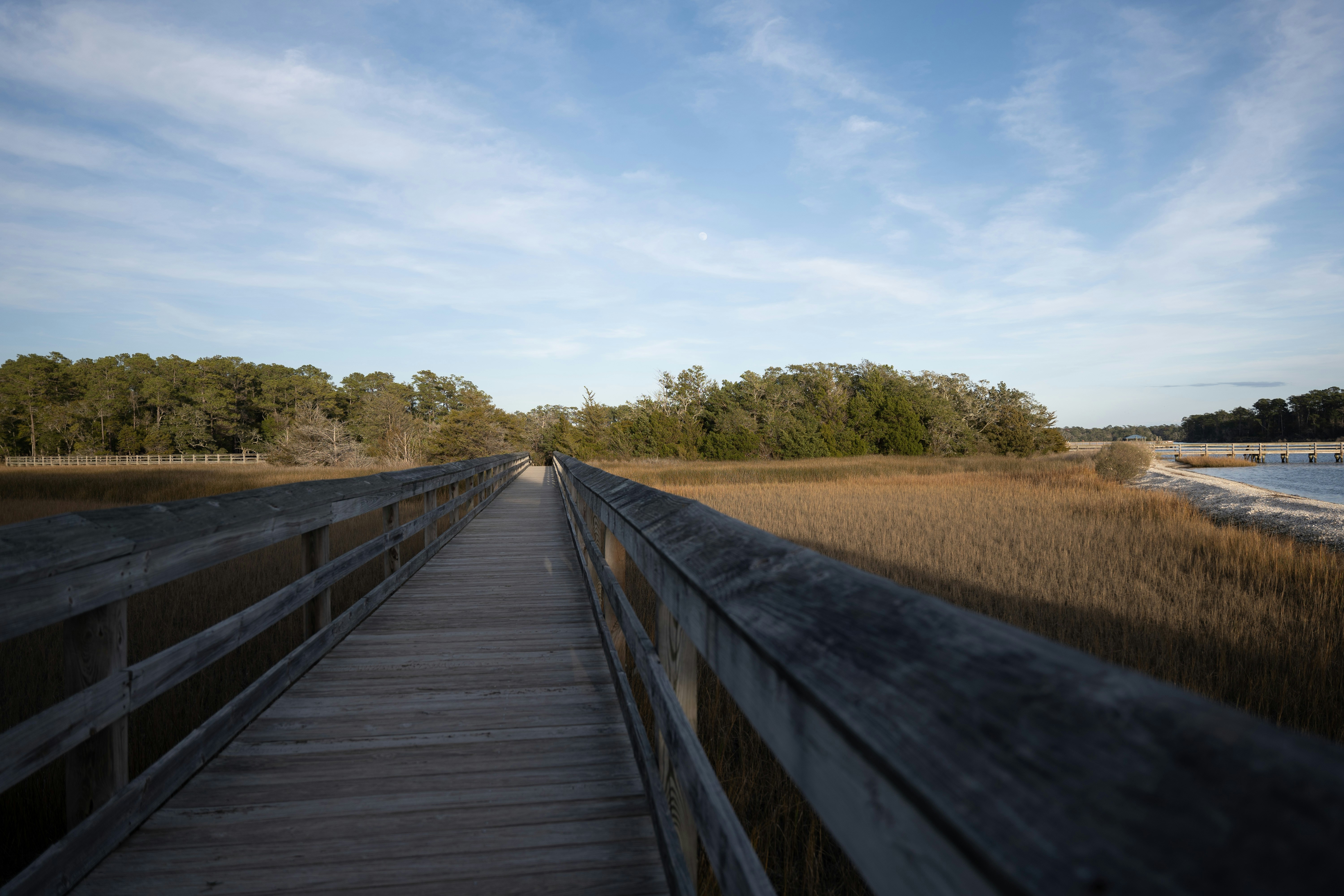 a wooden walkway leads to a marshy marsh, Boardwalk over marsh.