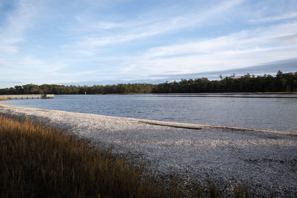 a large body of water surrounded by tall grass