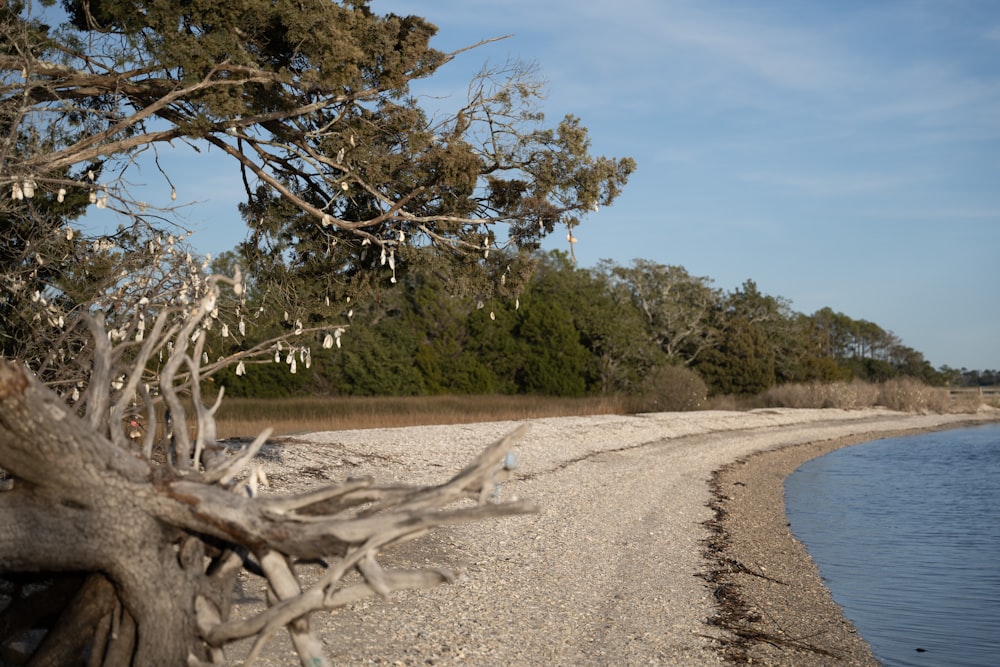 a sandy beach next to a body of water