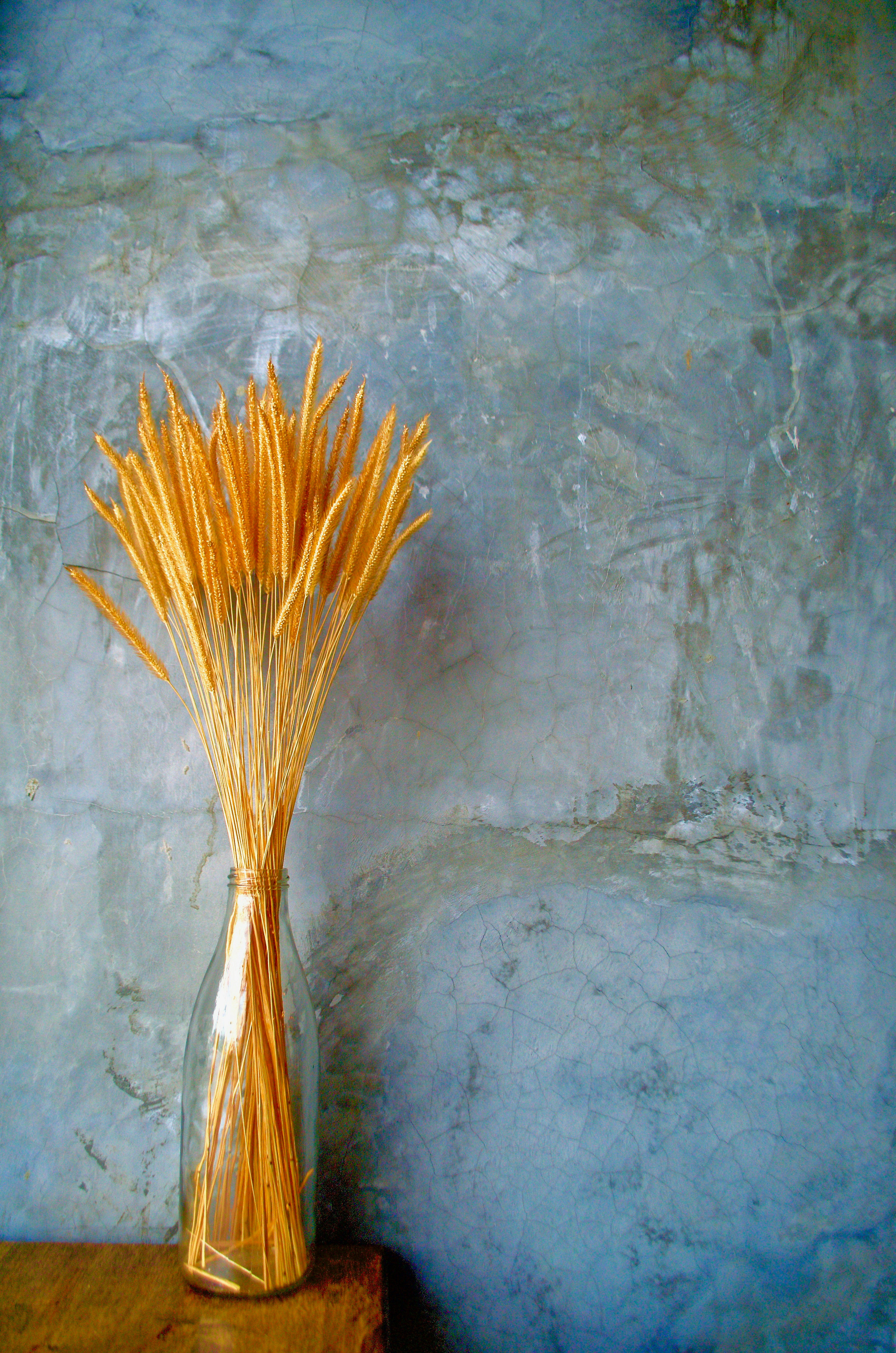 Alternative text for describing the image displayed