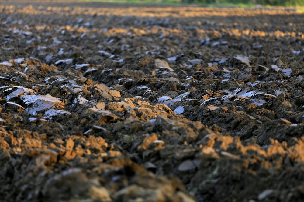 a plowed field with lots of dirt and rocks
