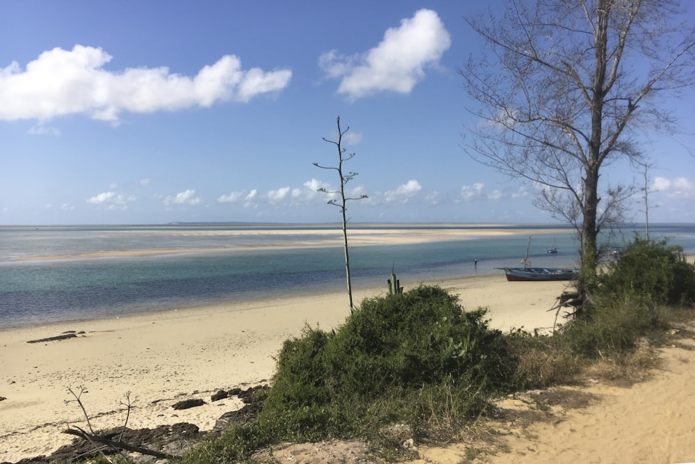 a boat is sitting on the shore of a beach