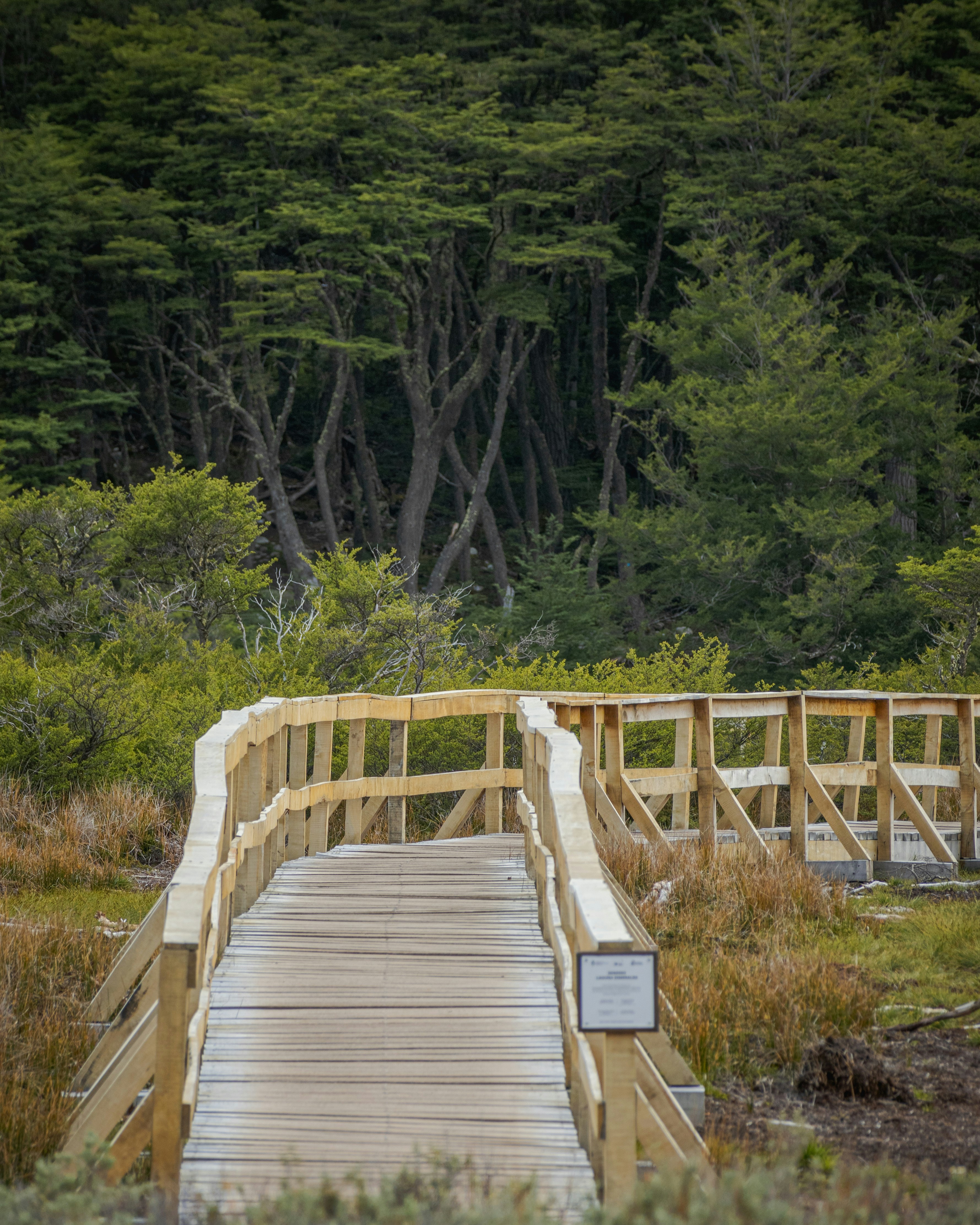 What to Eat and Drink in Ushuaia