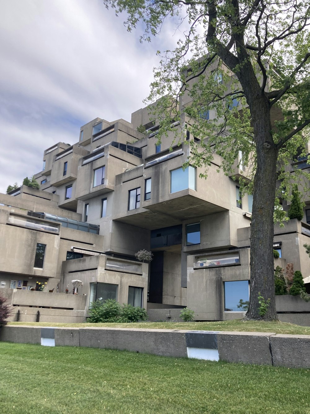 a building with a tree in front of it