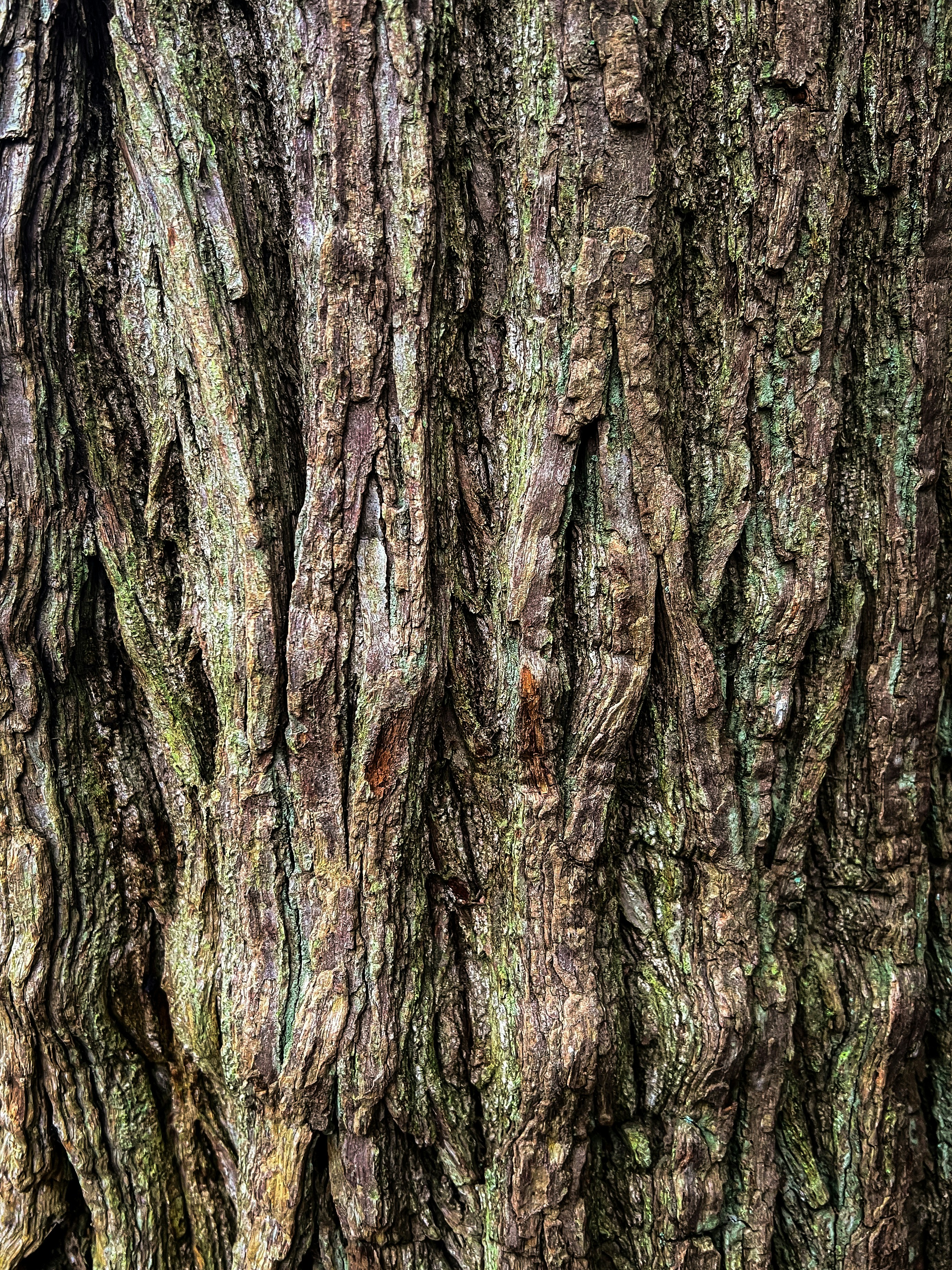 Photo by daaannorris