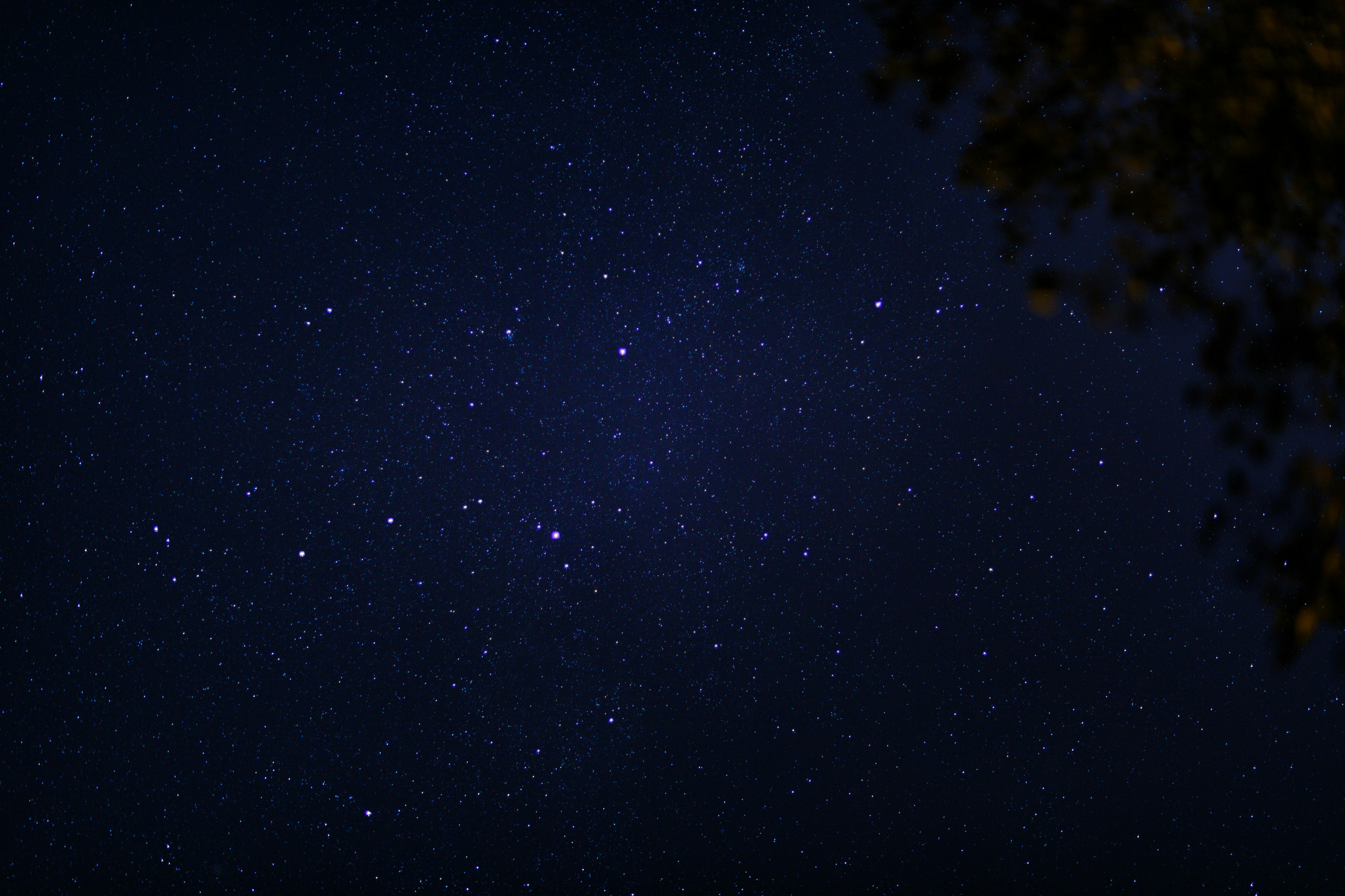 a night sky with stars and a tree, A vast, star-studded sky with the hint of tree leaves at the edge, showcasing the beauty of the cosmos