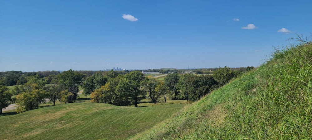 a lush green hillside with lots of trees