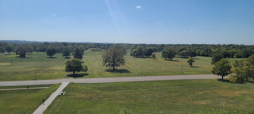 an aerial view of a large field with trees