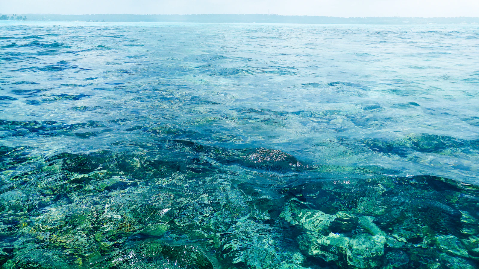 Arrecife y formaciones de coral en las aguas de San Andrés