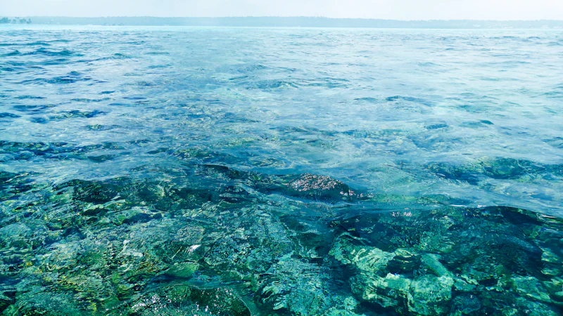 Best Romantic Dinner Spots in San Andres for a Night to Remember