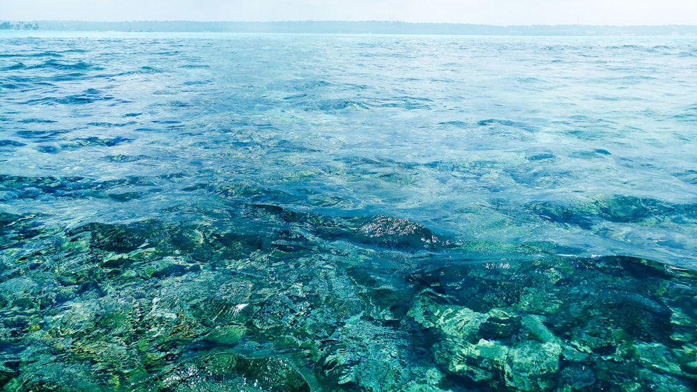 a body of water that has a bunch of rocks in it