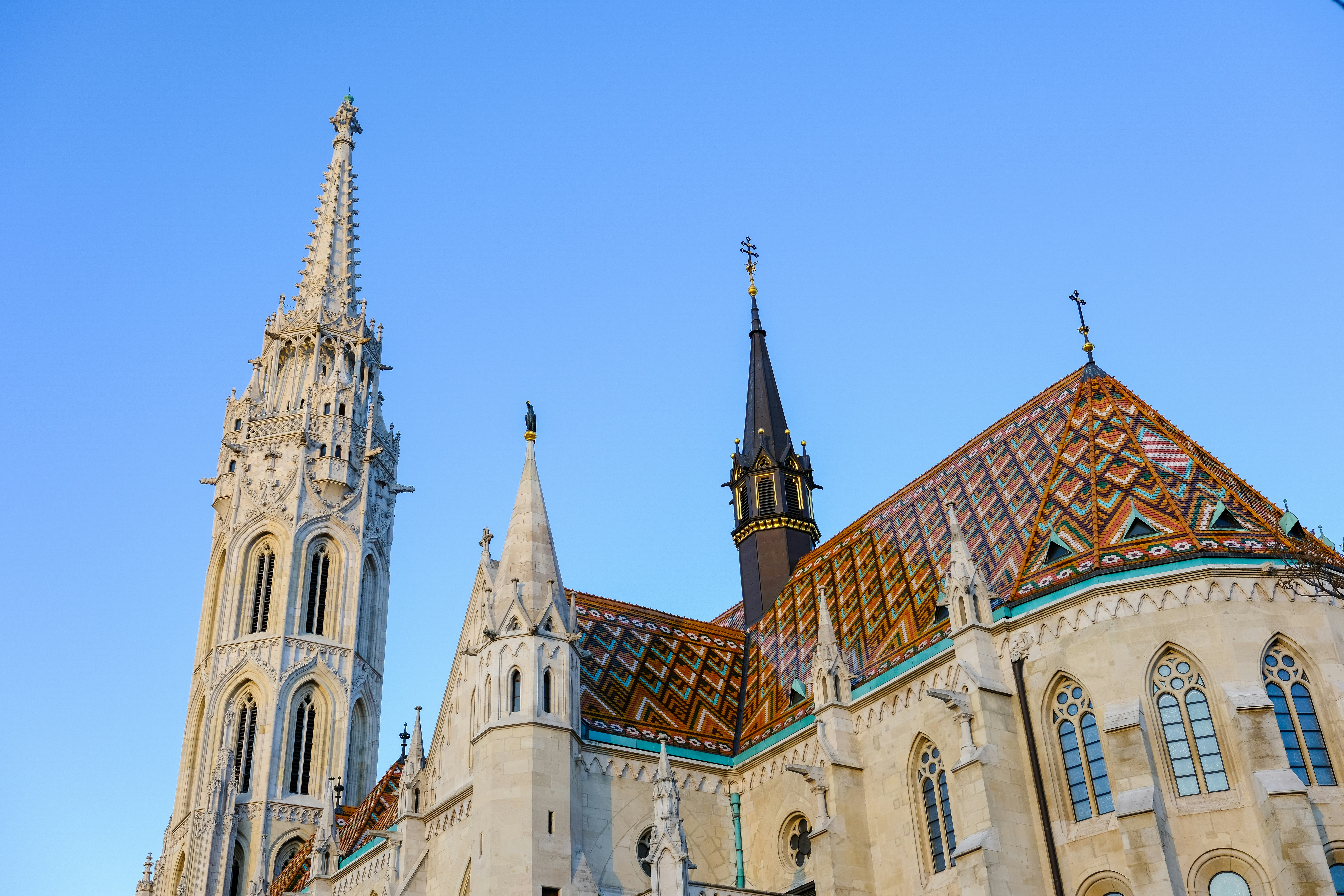 Photo by cestmoisheedy