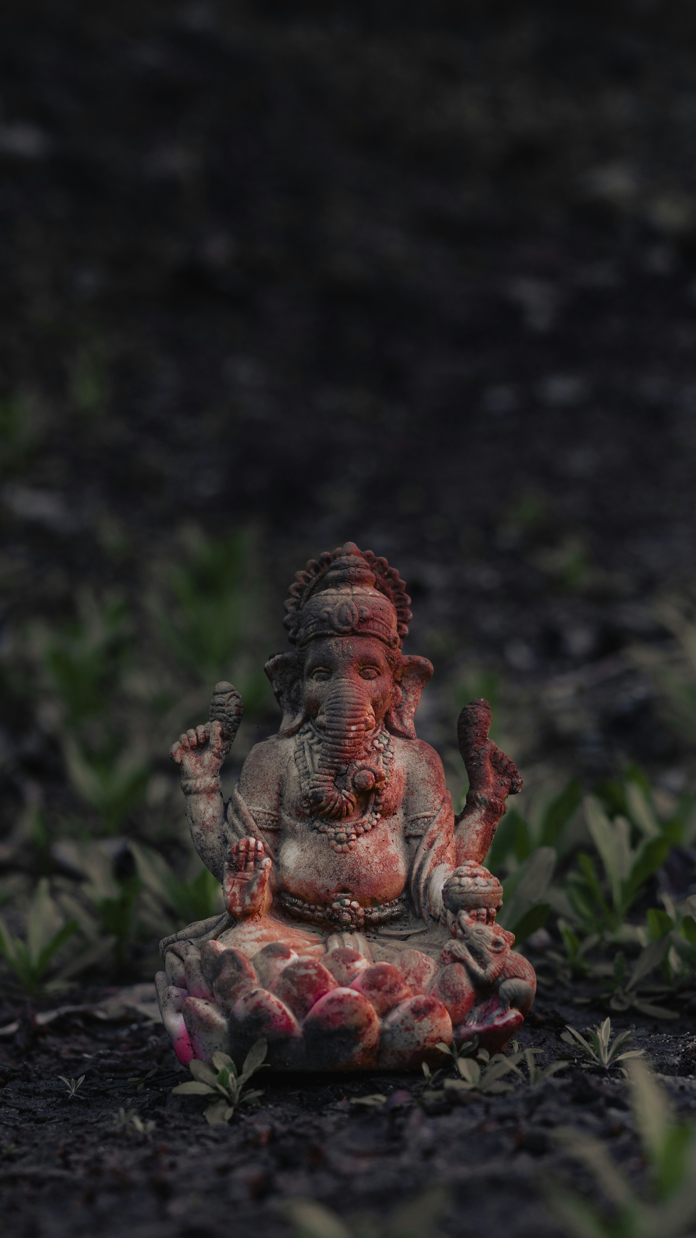 Photo by piyush__11