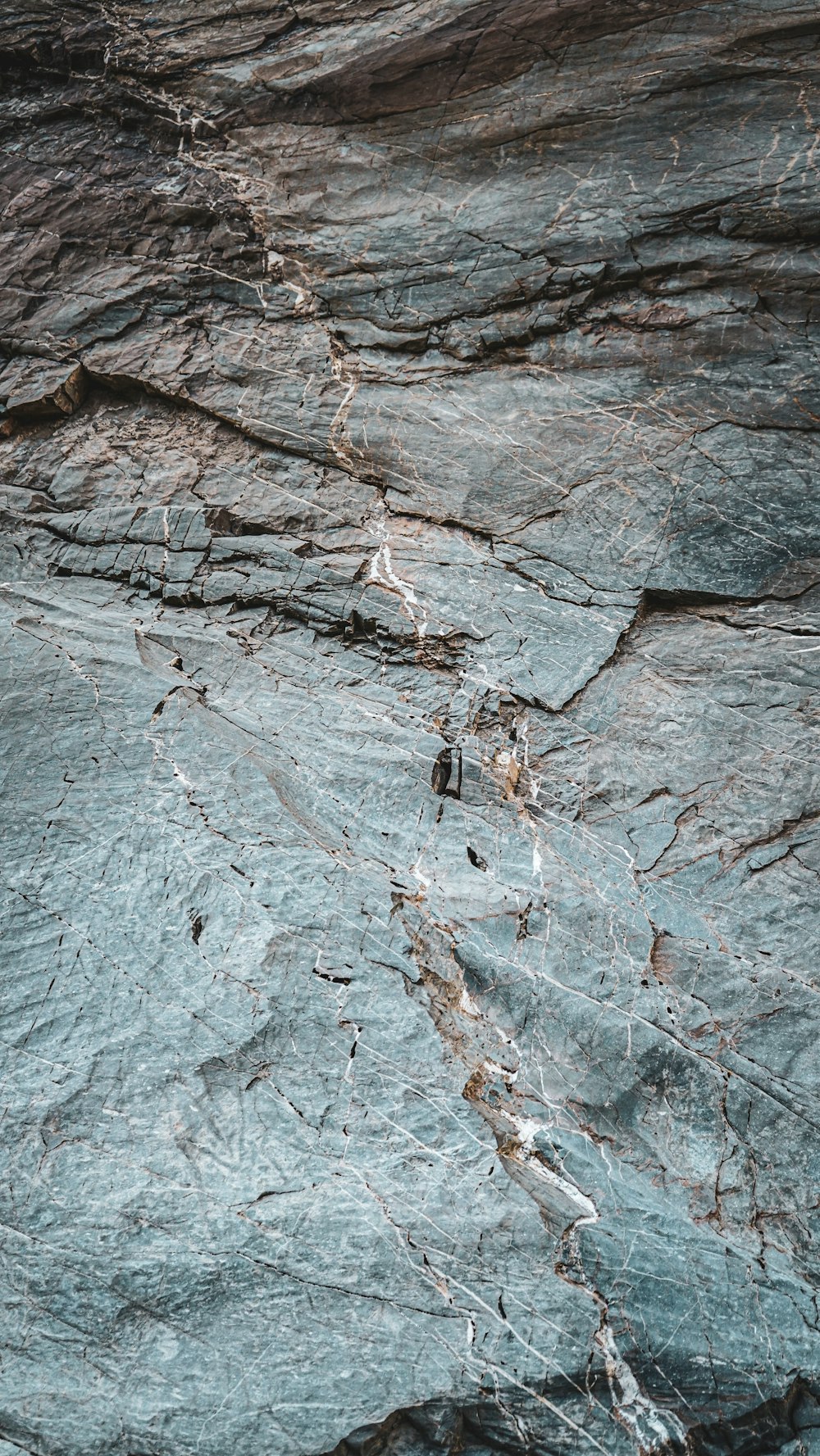 a bird is standing on a rock formation