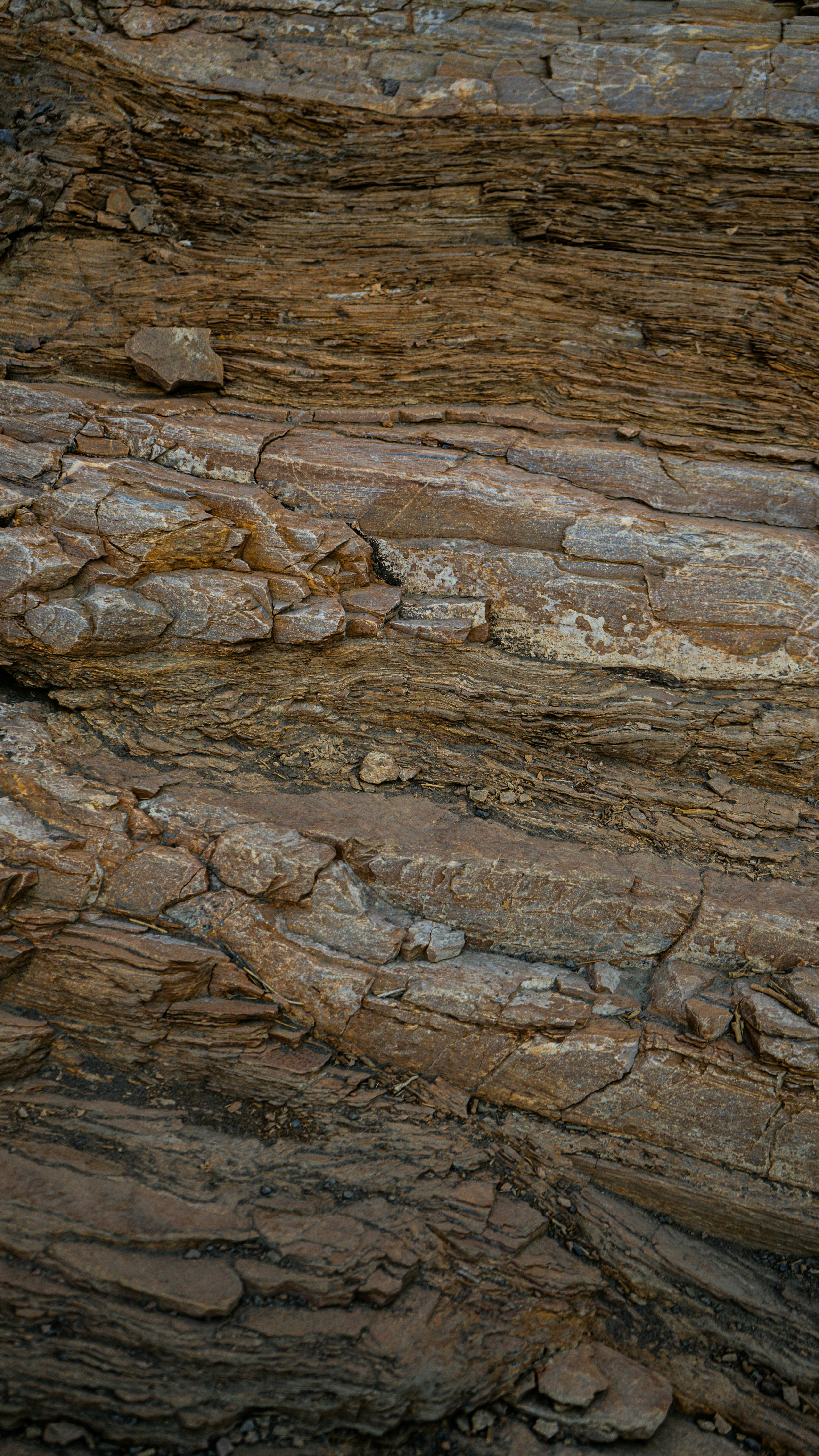 Stunning Slab Gallery Inventory
