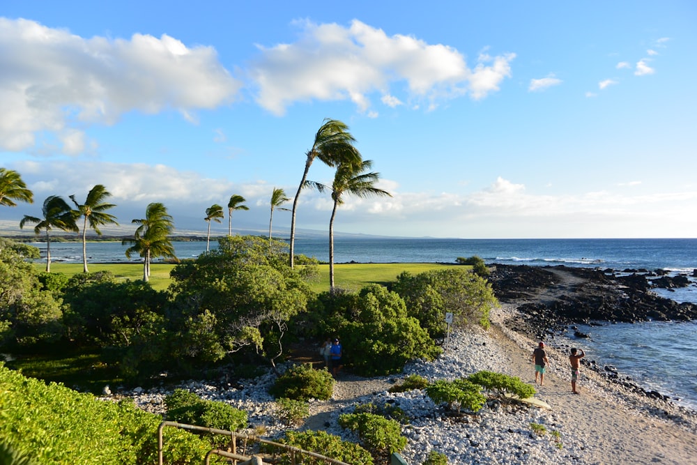 a couple of people that are standing on a beach