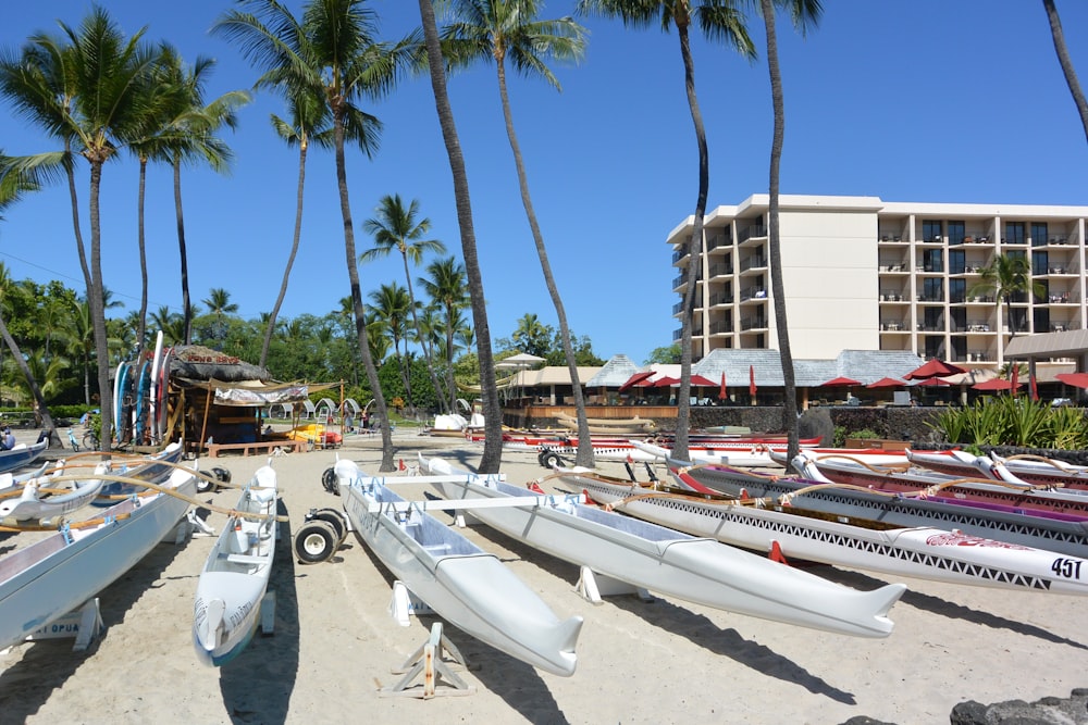 a bunch of boats that are sitting in the sand