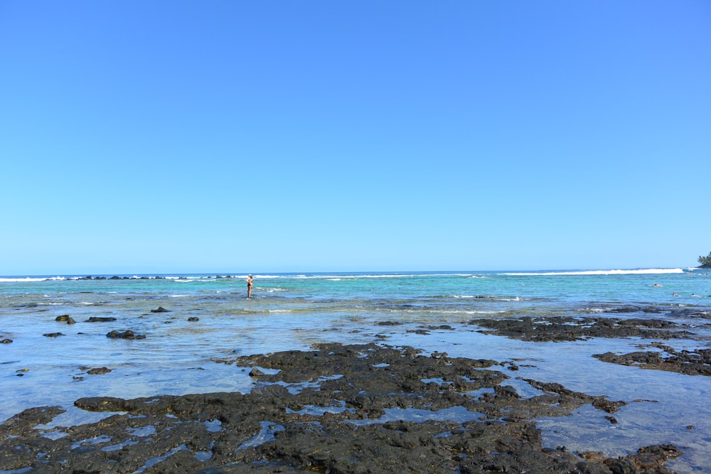 a person standing in the water on a rocky beach