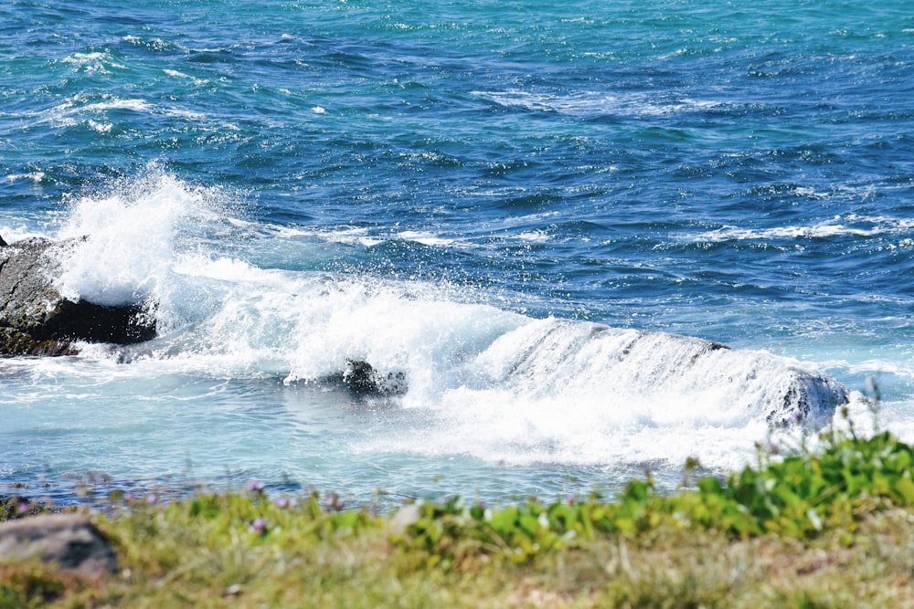 a wave crashes on a rock in the ocean