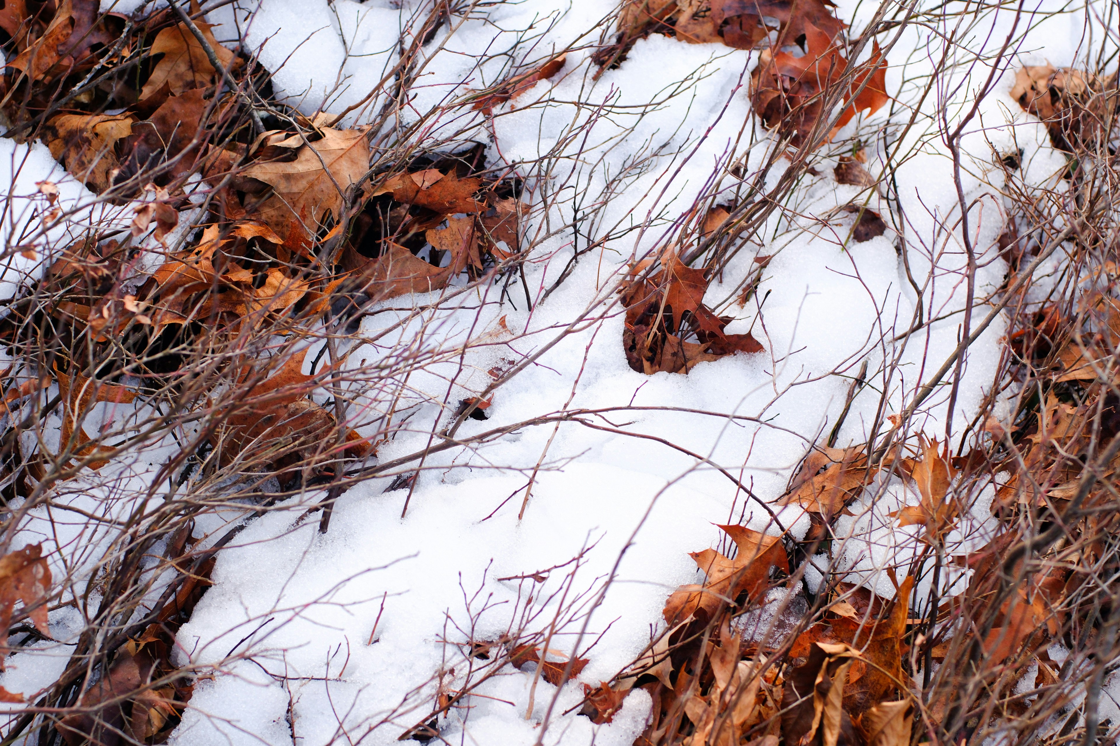 Photo by keepsake_media