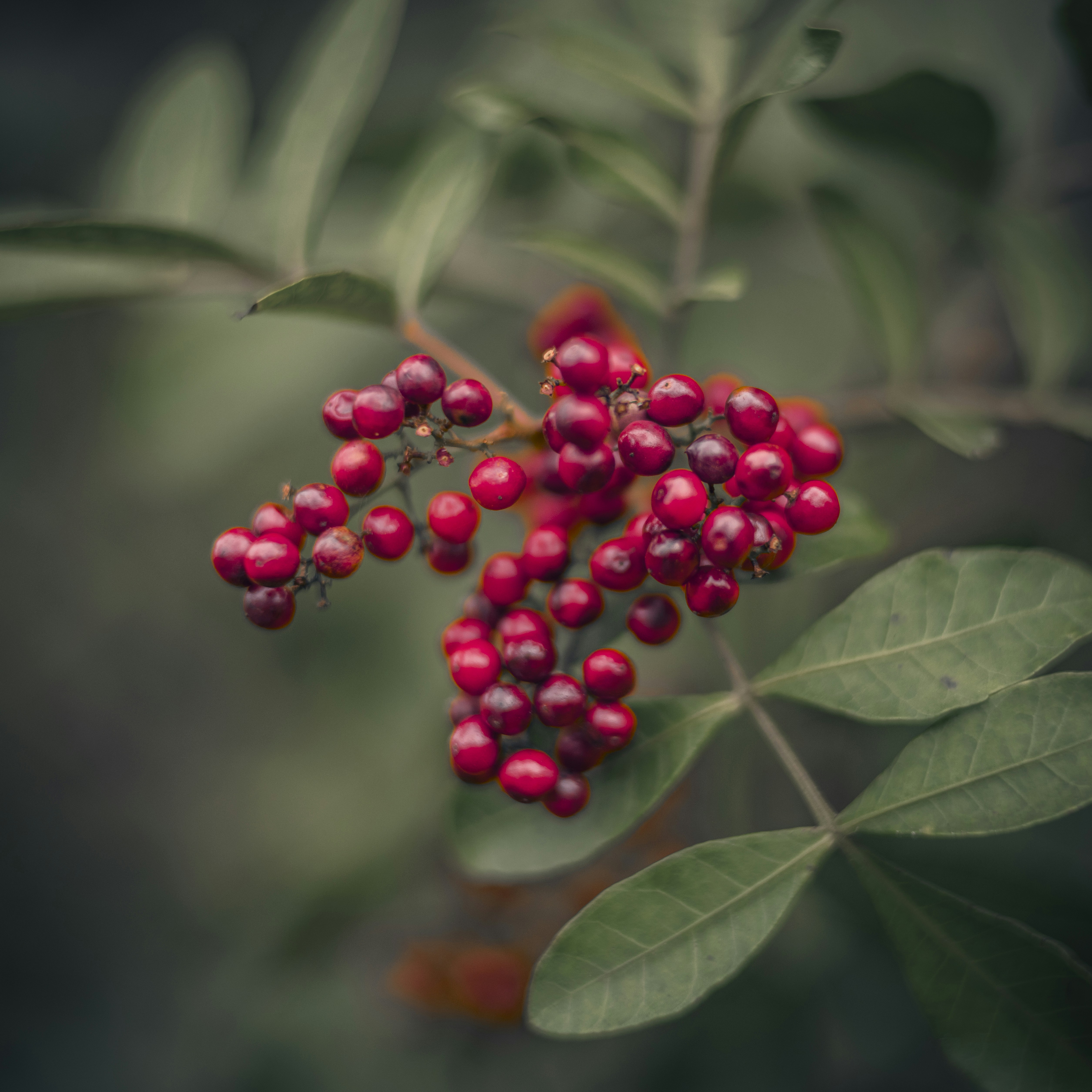 Photo by sailorgreg123