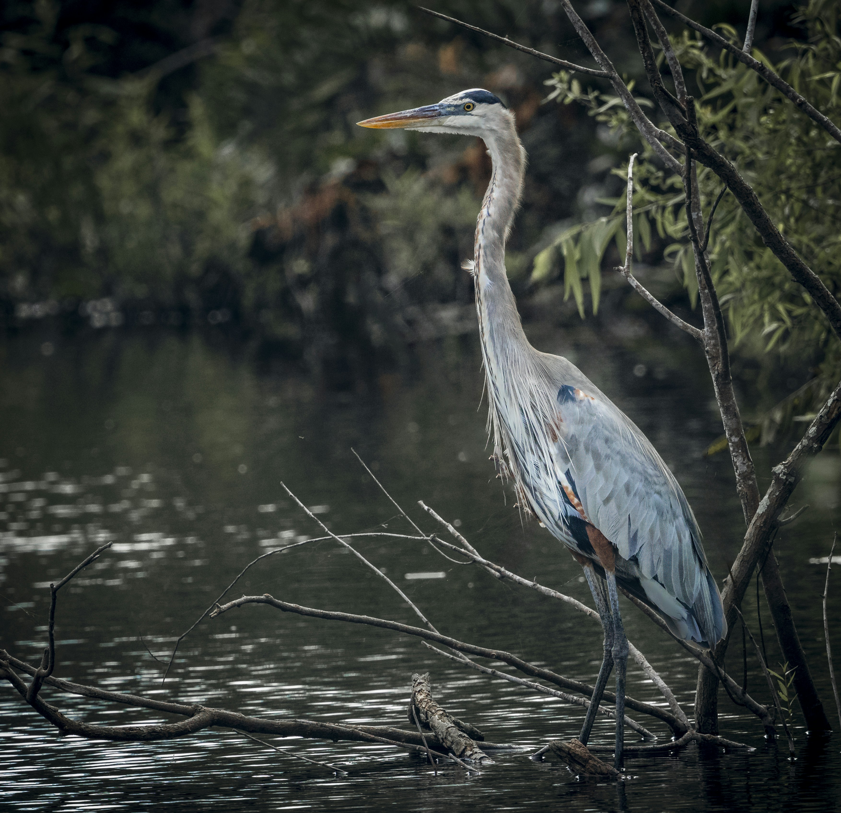 Photo by sailorgreg123