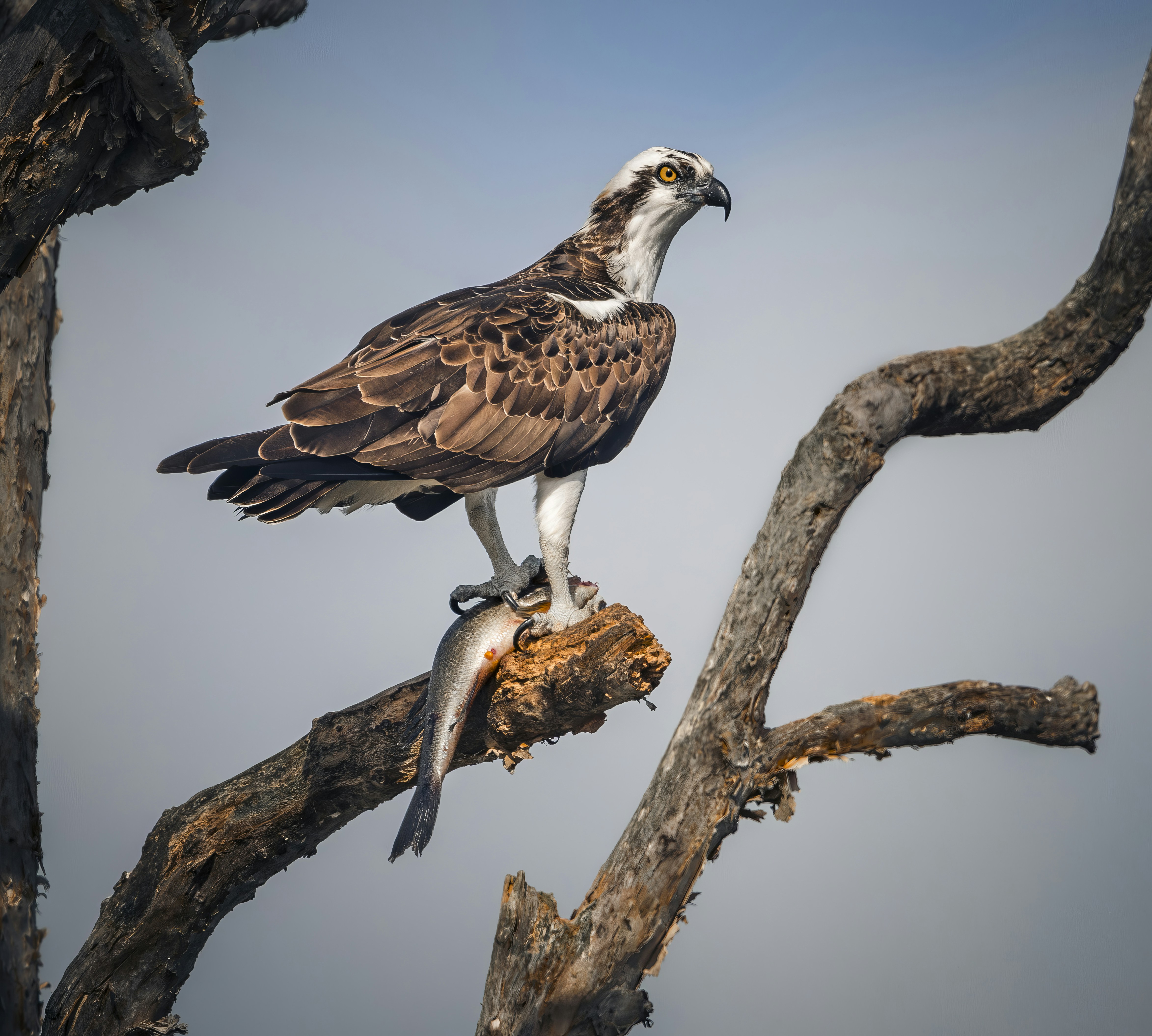 Photo by sailorgreg123