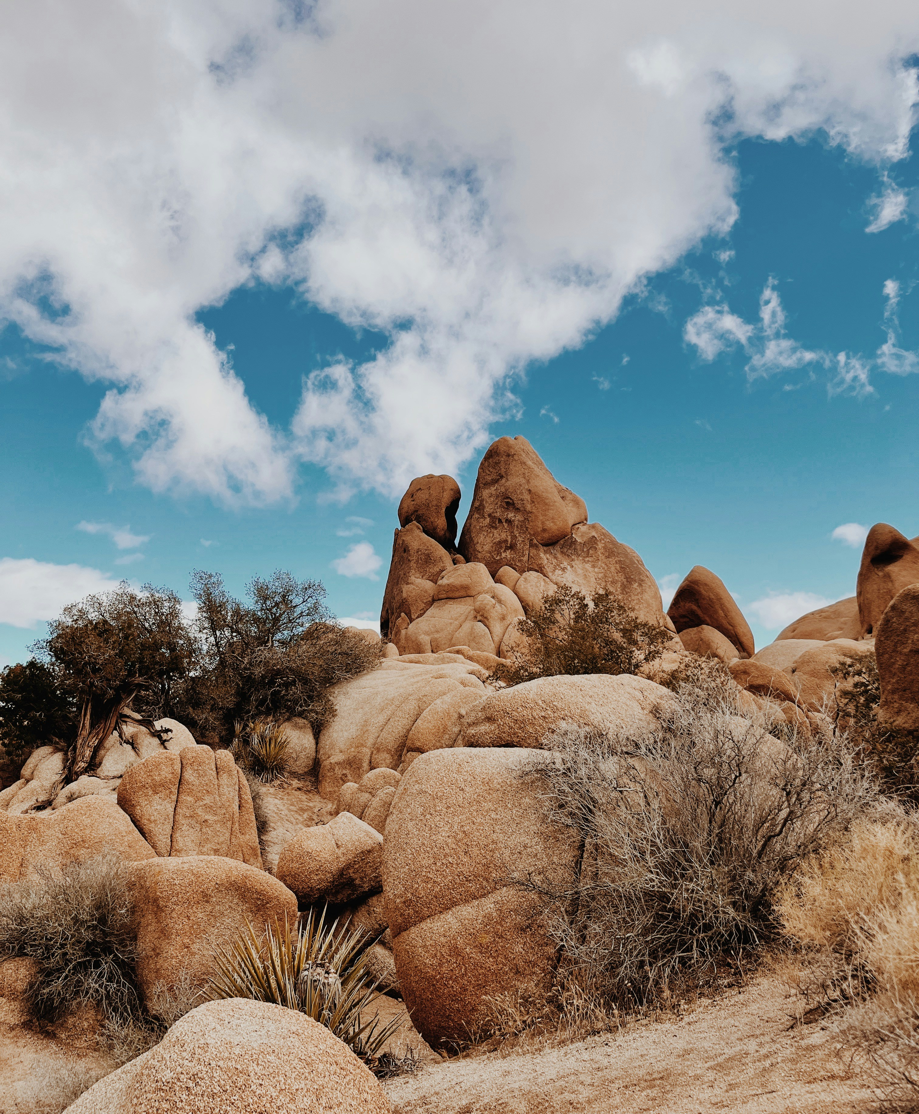 Photo by aryajal1907