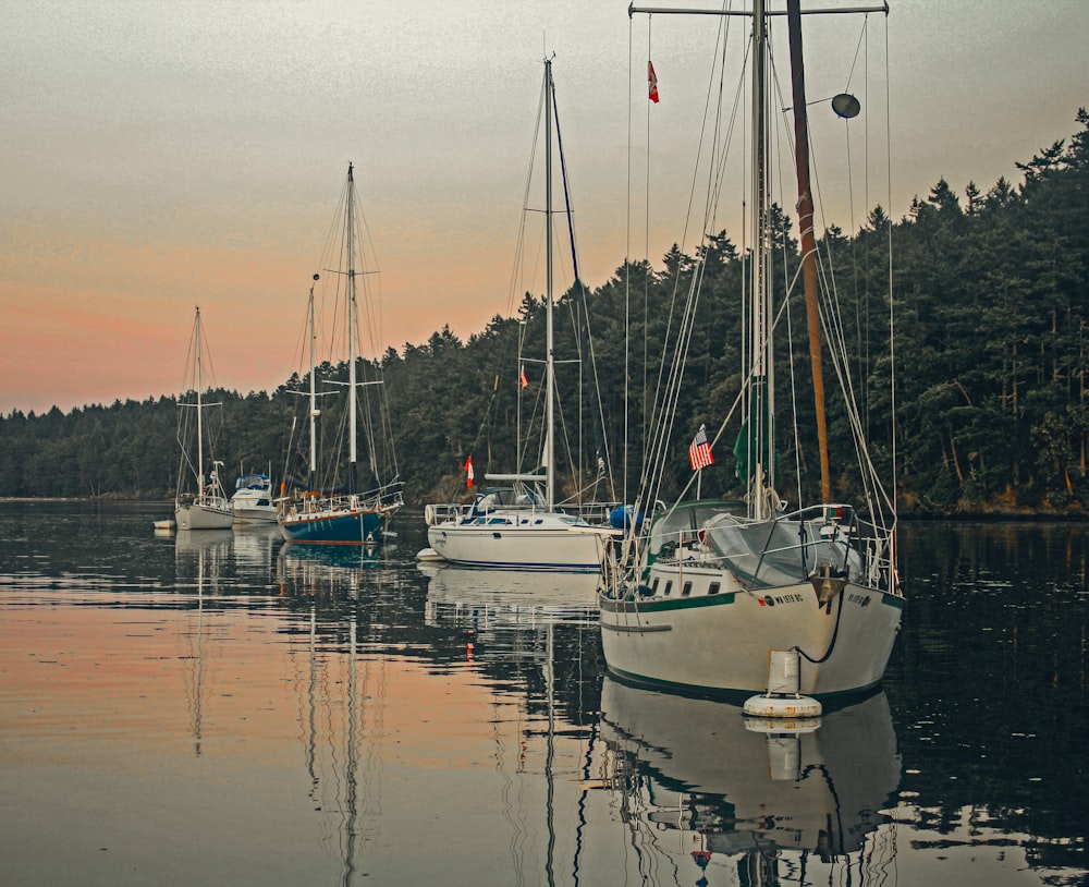 a group of boats floating on top of a body of water