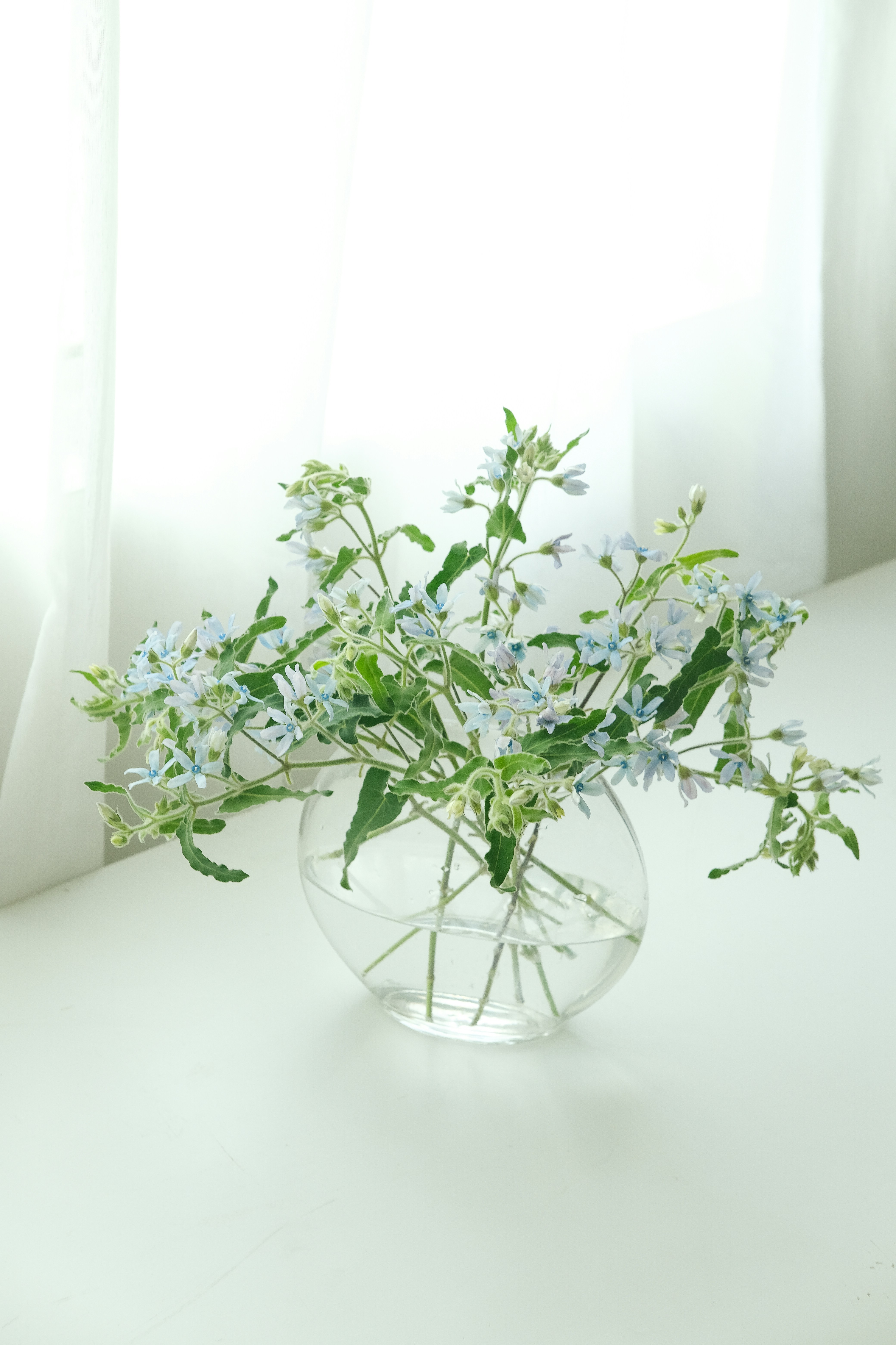 Photo by nganduong93