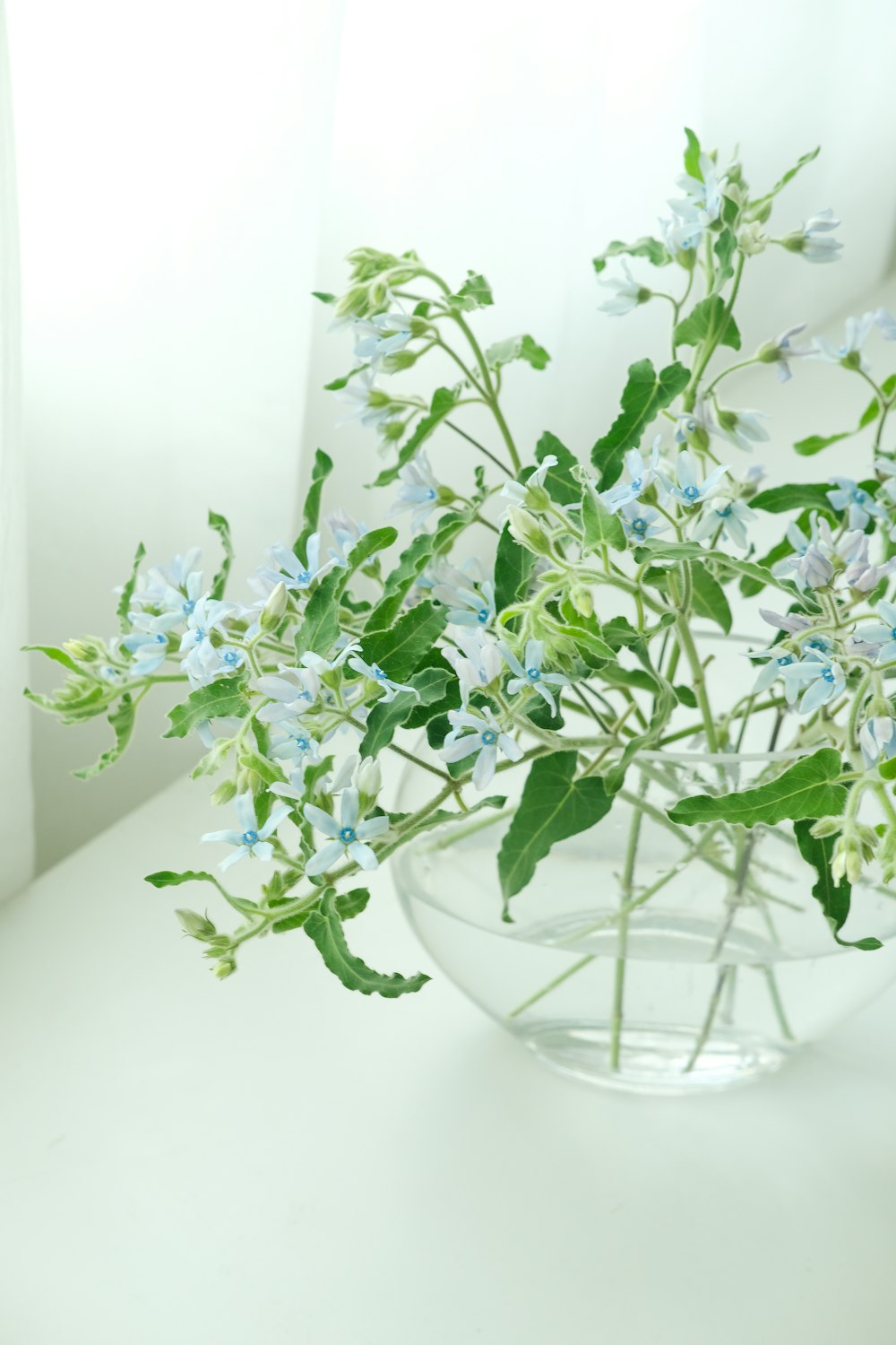 a vase filled with blue flowers on top of a table