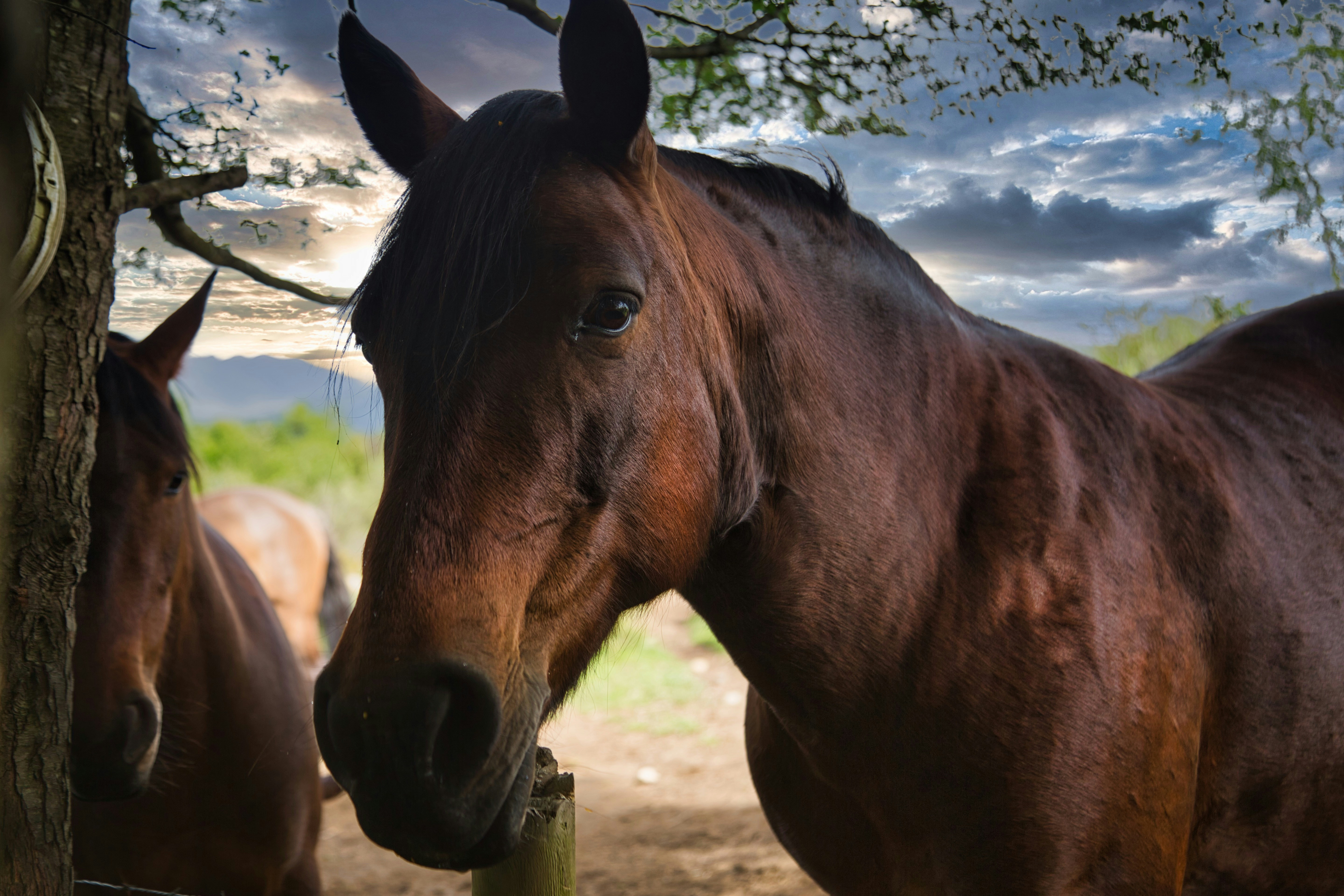 Photo by adelarivera