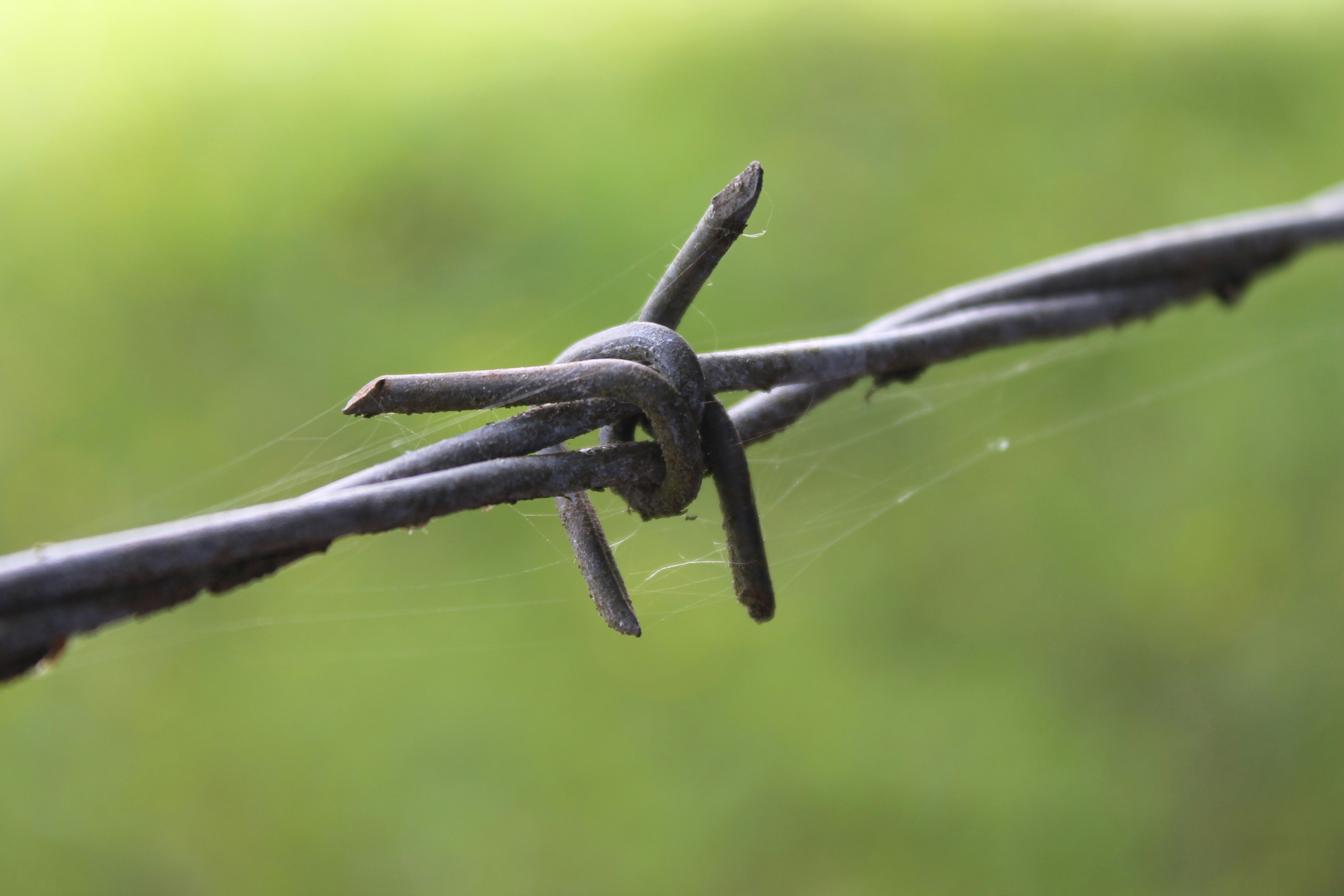 Photo by adelarivera