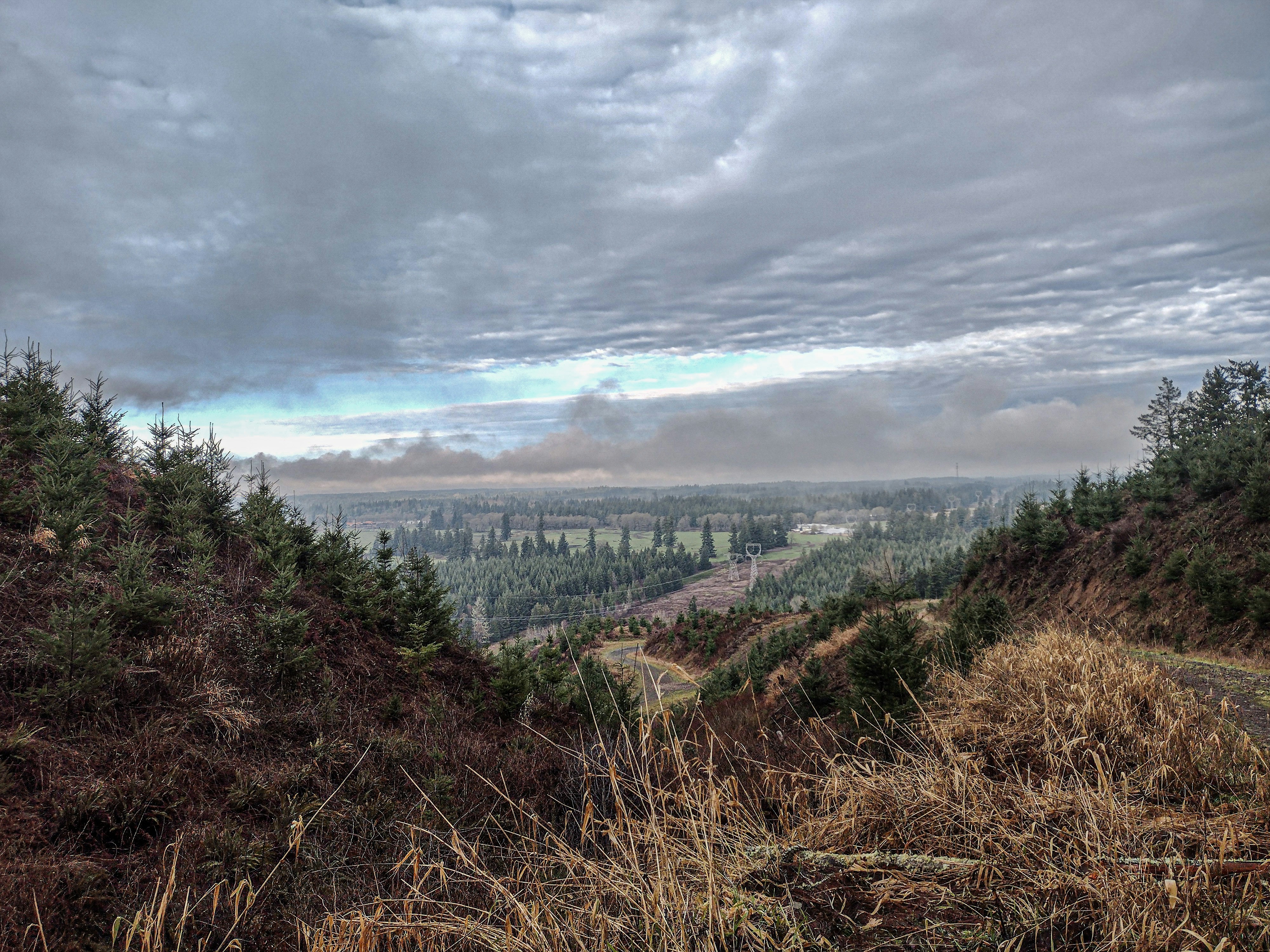 Photo by prphotography262